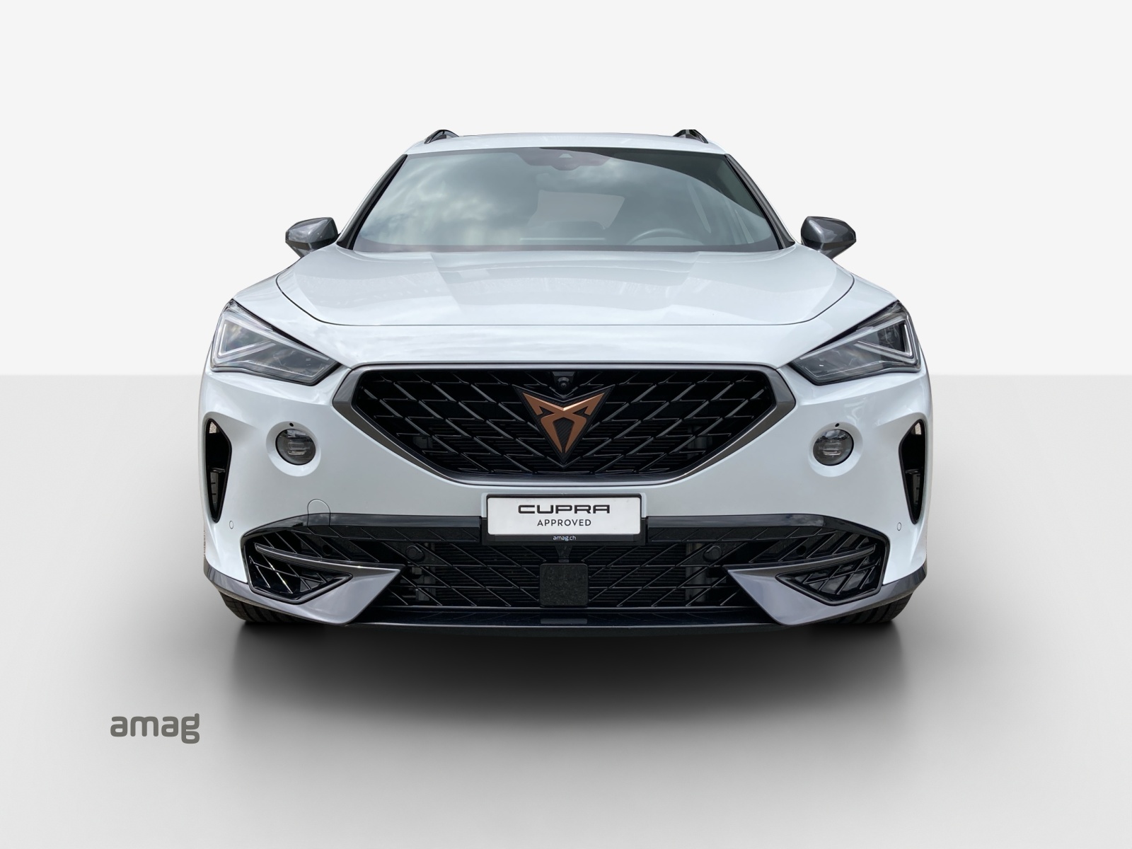 CUPRA Formentor 2.0TSI Tribe Edition 4Drive DSG-image-6