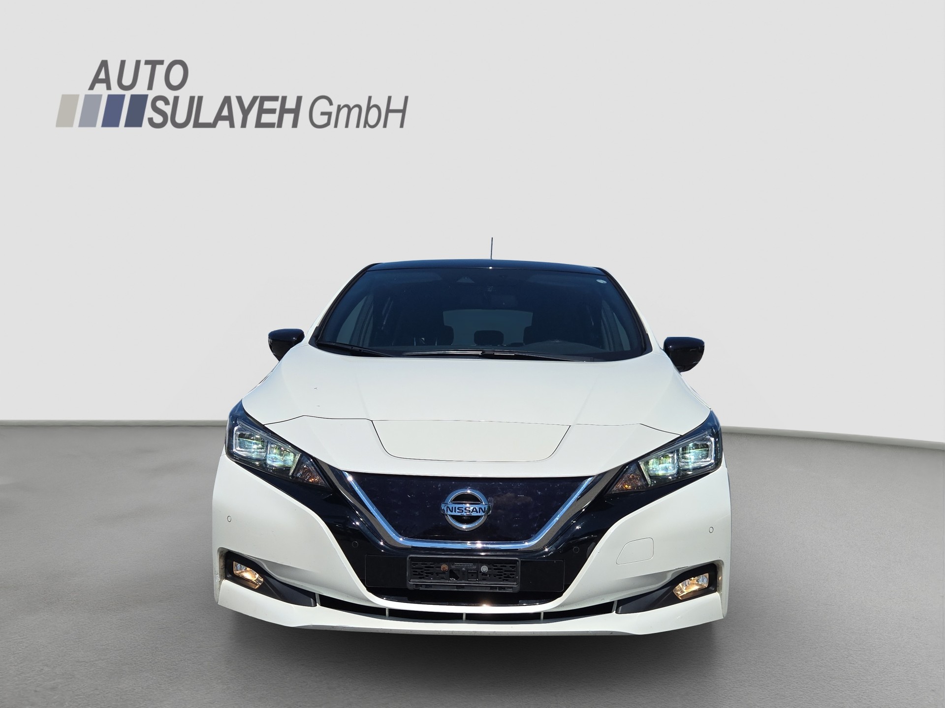 NISSAN Leaf 3. Zero (incl. battery)