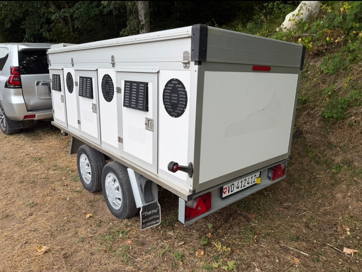 3DOGCAMPING WT-Metall Thermo 6Boxer - transport de chiens, Hundtransport-image-0
