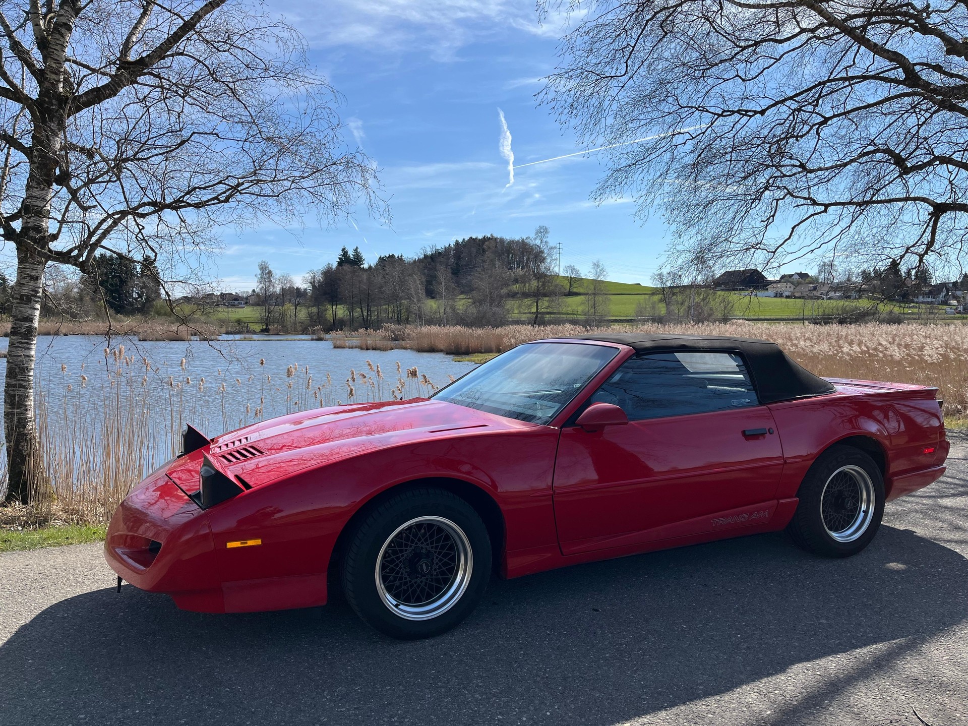 PONTIAC Firebird 5.0 V8 Trans Am-image-1