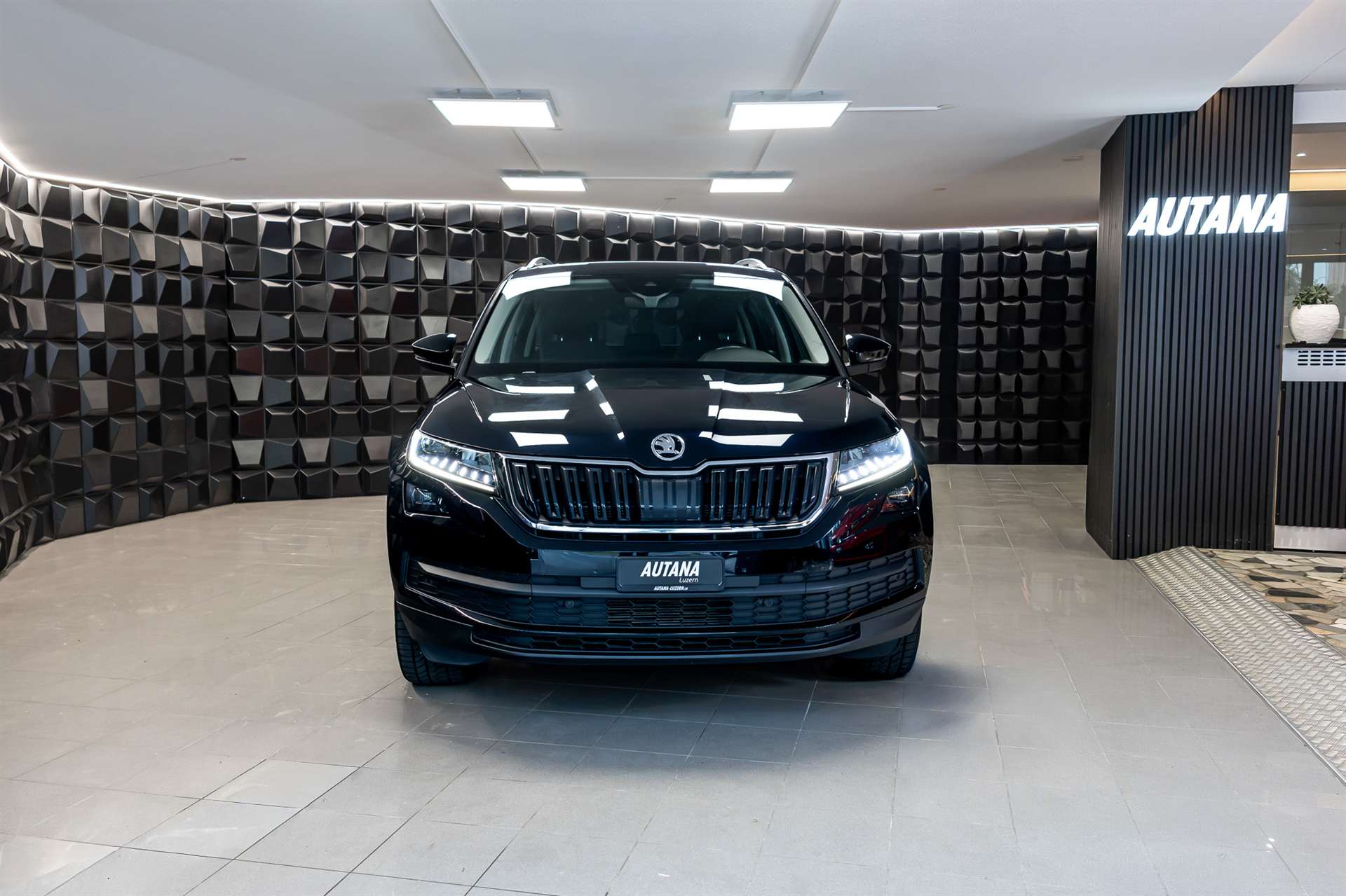 SKODA Kodiaq 2.0 TSI DSG Drive 4x4-image-3