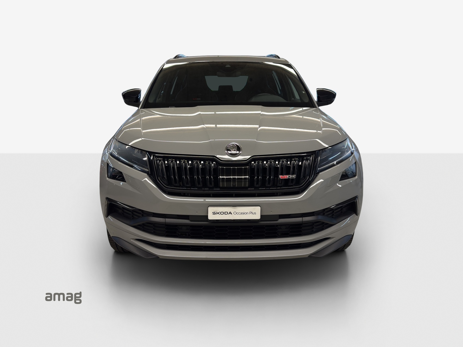 SKODA Kodiaq 2.0 Bi-TDI SCR RS 4x4 DSG-image-6