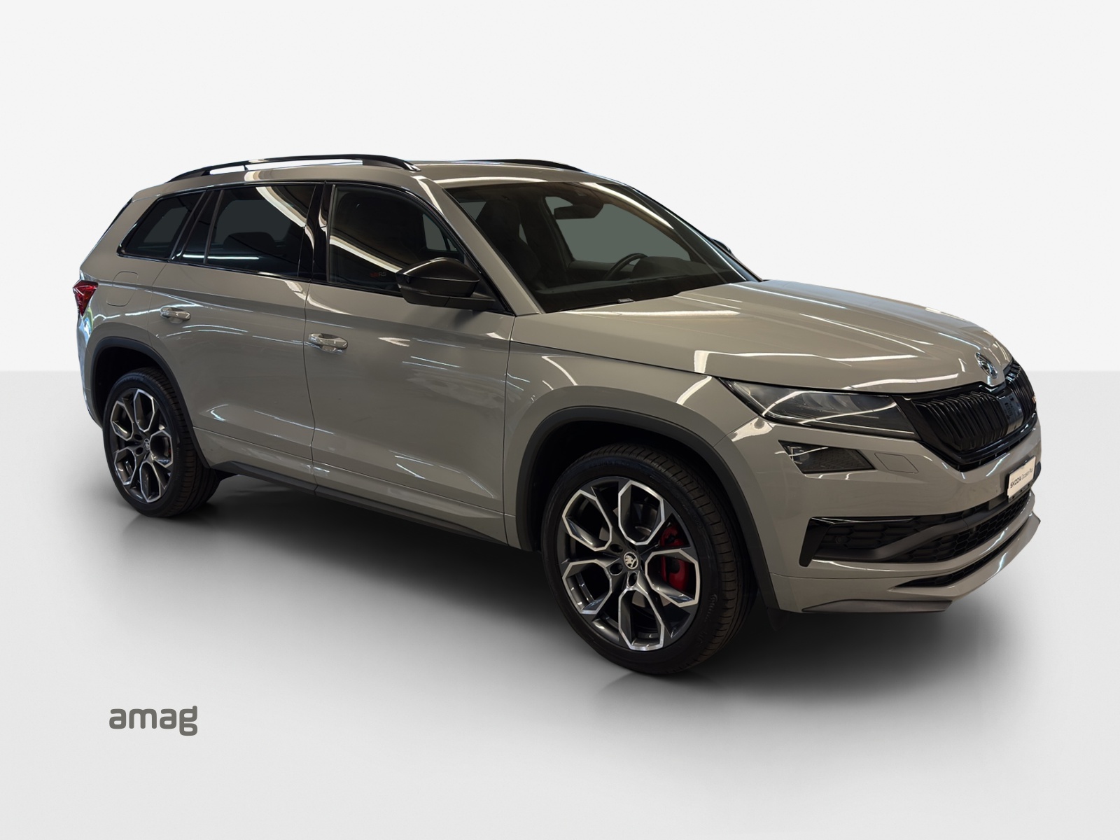 SKODA Kodiaq 2.0 Bi-TDI SCR RS 4x4 DSG-image-5