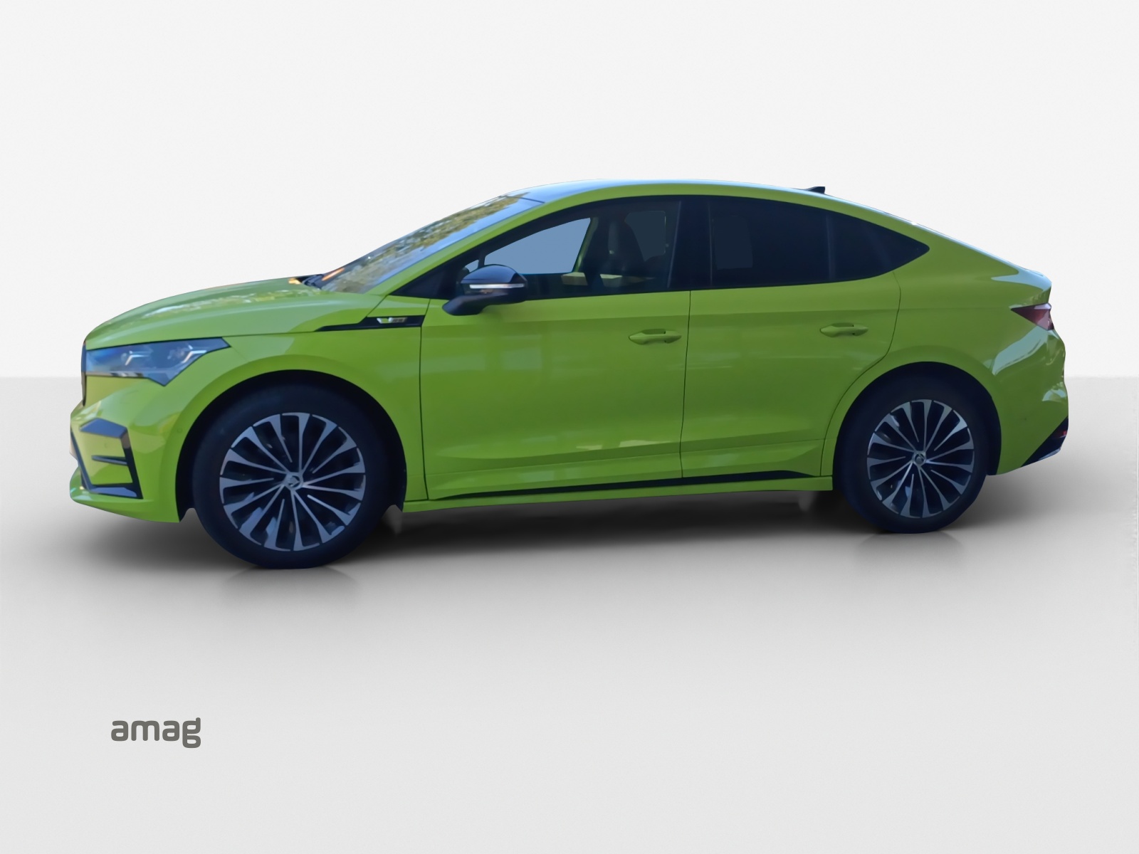 SKODA Enyaq Coupé RS iV 80 4x4-image-1