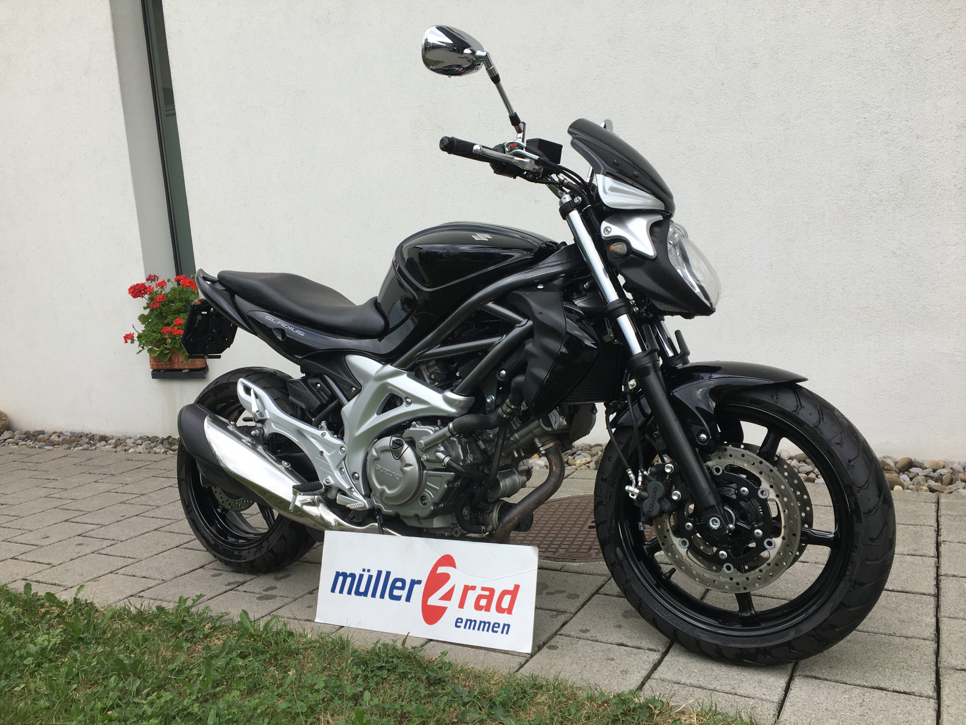 SUZUKI SFV 650 Gladius