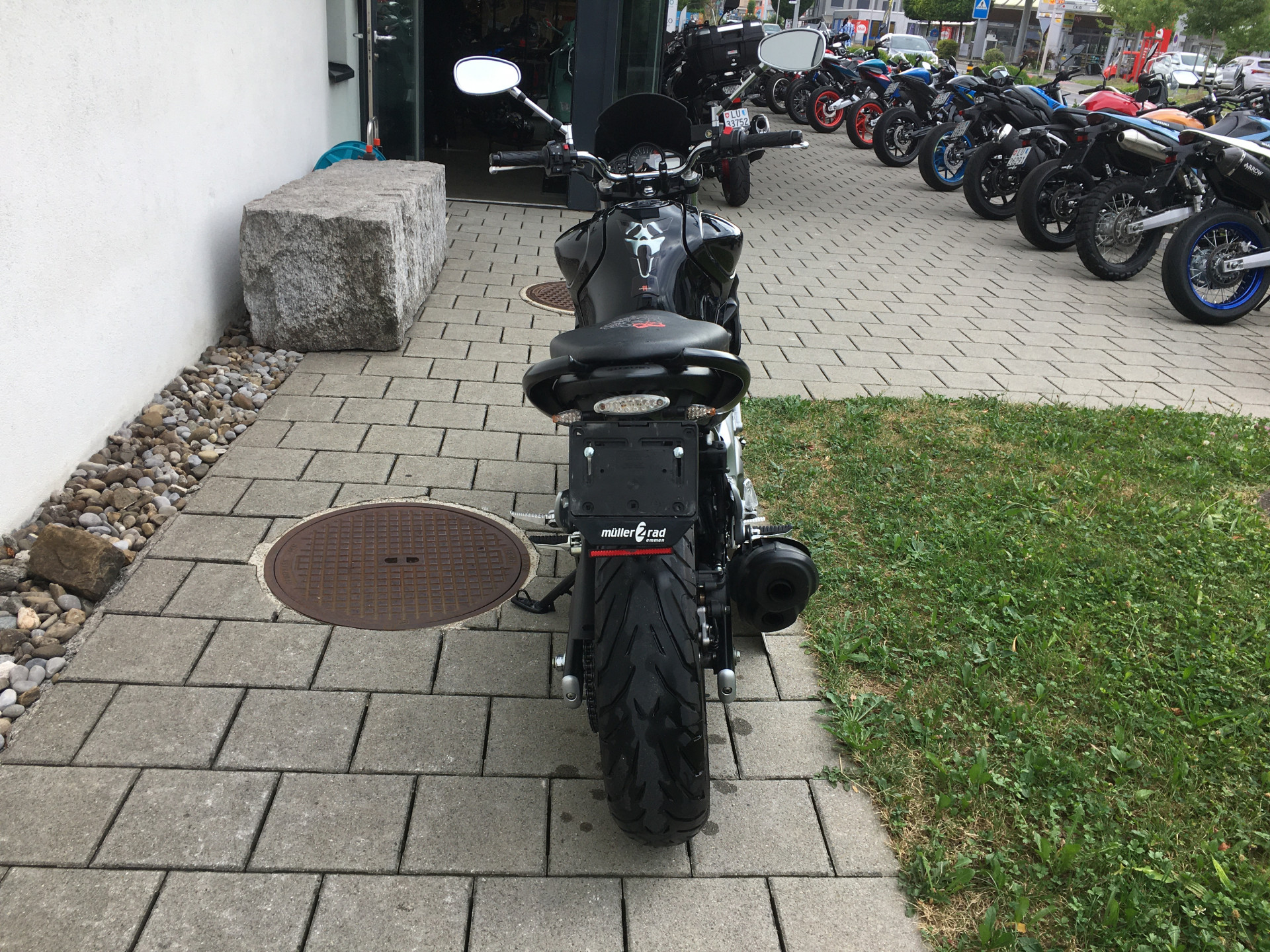 SUZUKI SFV 650 Gladius-showroom-element-3