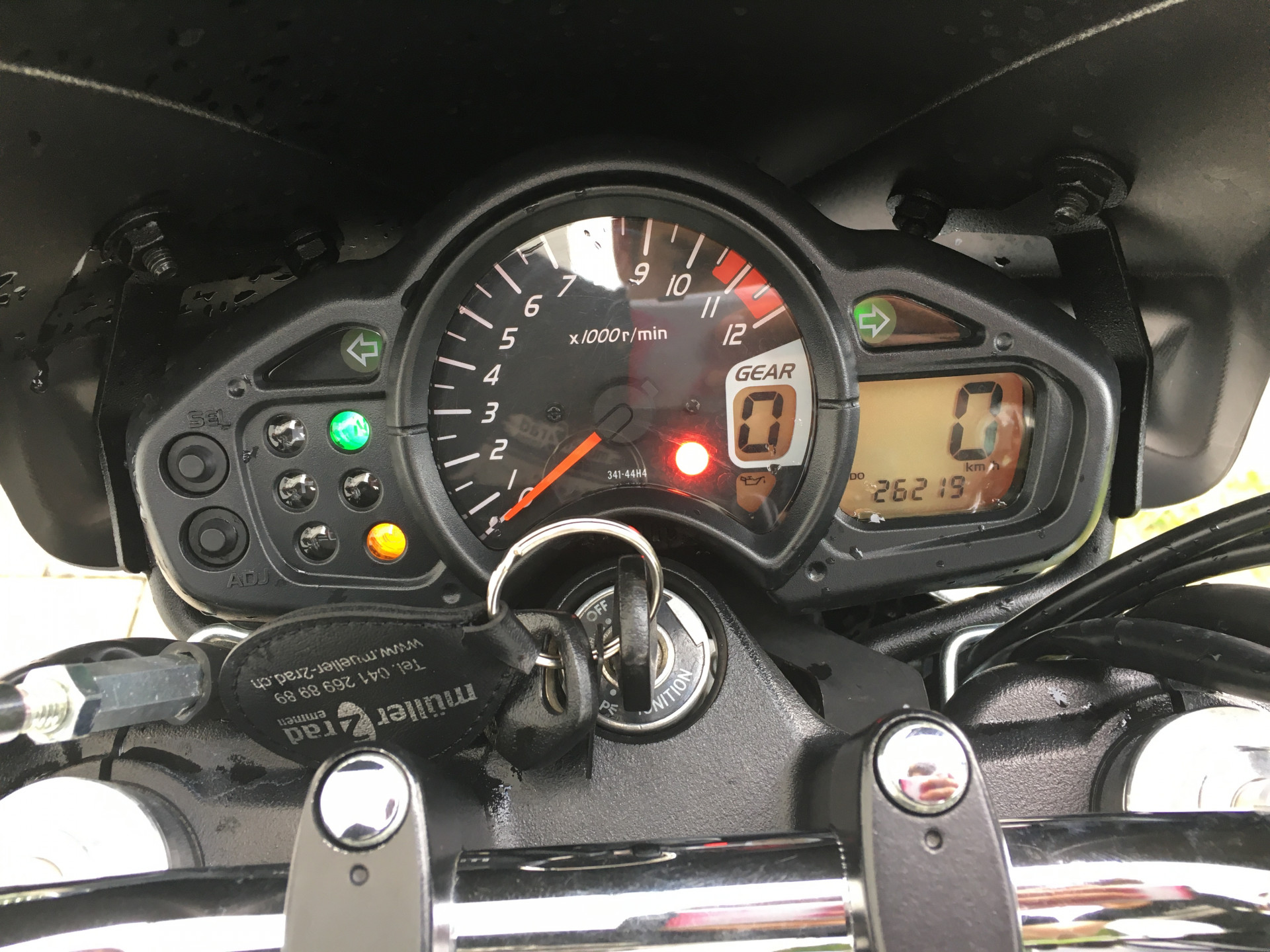 SUZUKI SFV 650 Gladius-showroom-element-2