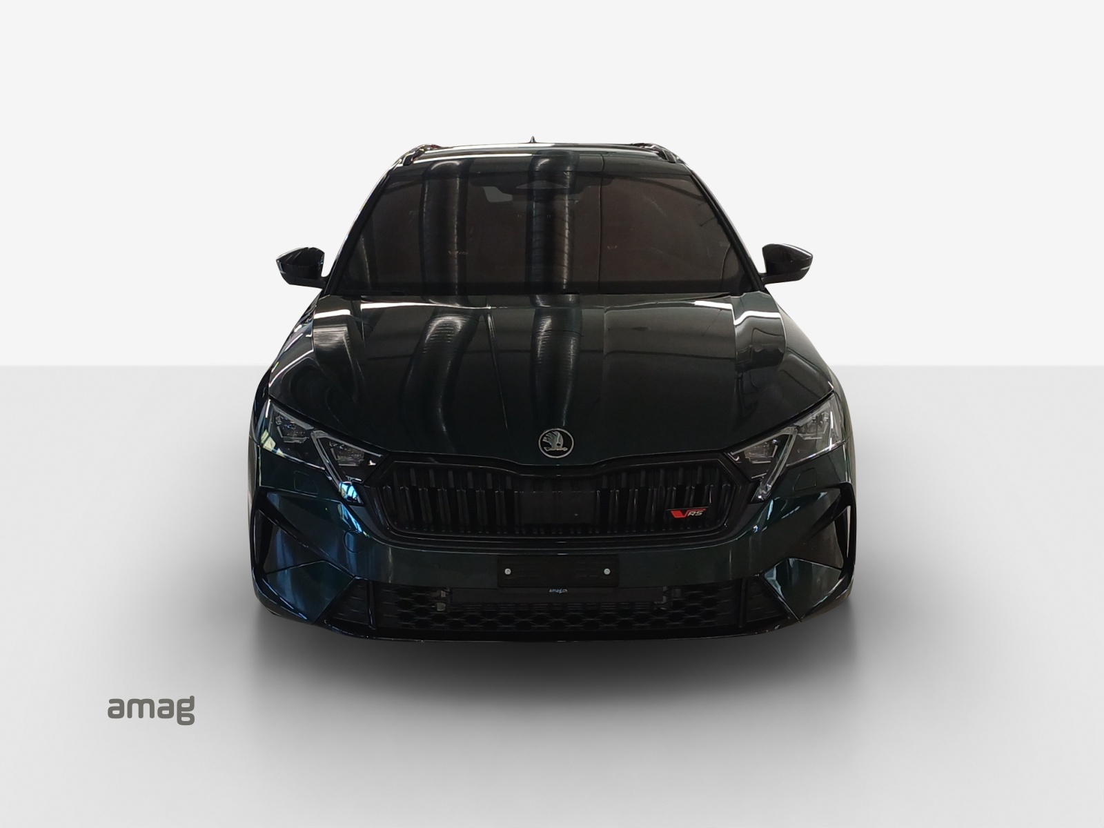 SKODA Octavia Combi 2.0 TSI DSG RS 30 Years Edition-image-6