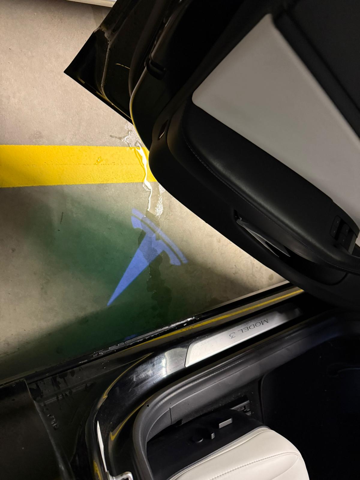 TESLA Model 3 Performance Dual Motor AWD-image-11
