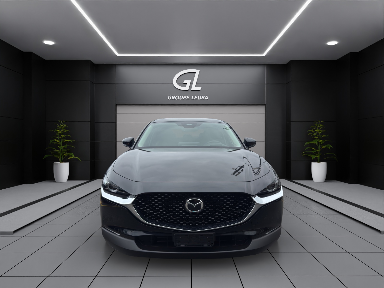 Image MAZDA CX-30 CX-30 SKYACTIV-X 186 M Hybrid Exclusive Line AWD AT