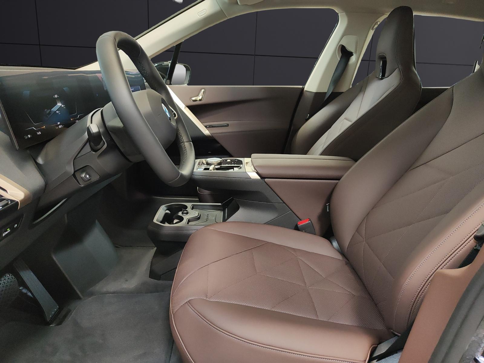 BMW iX xDrive60-image-9