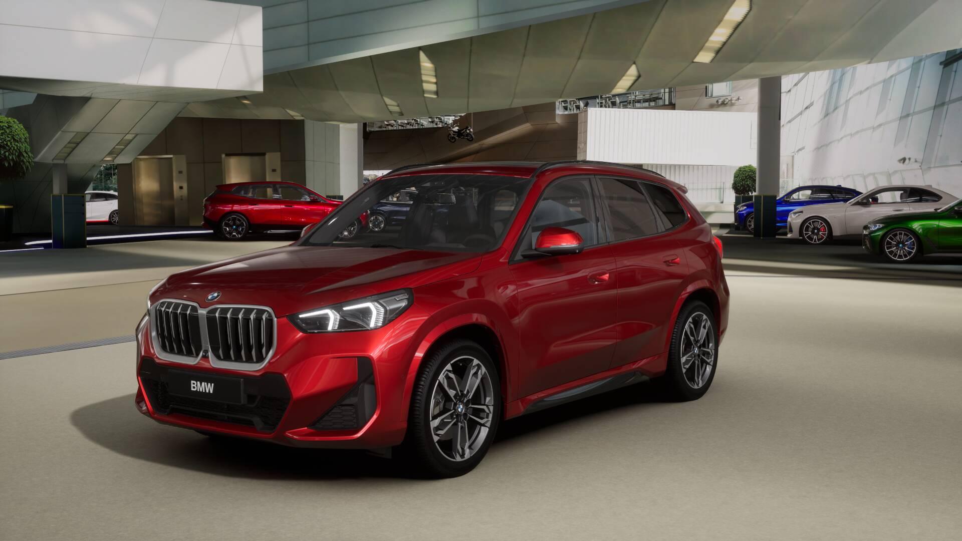 BMW X1 23i xDrive paddles-image-0