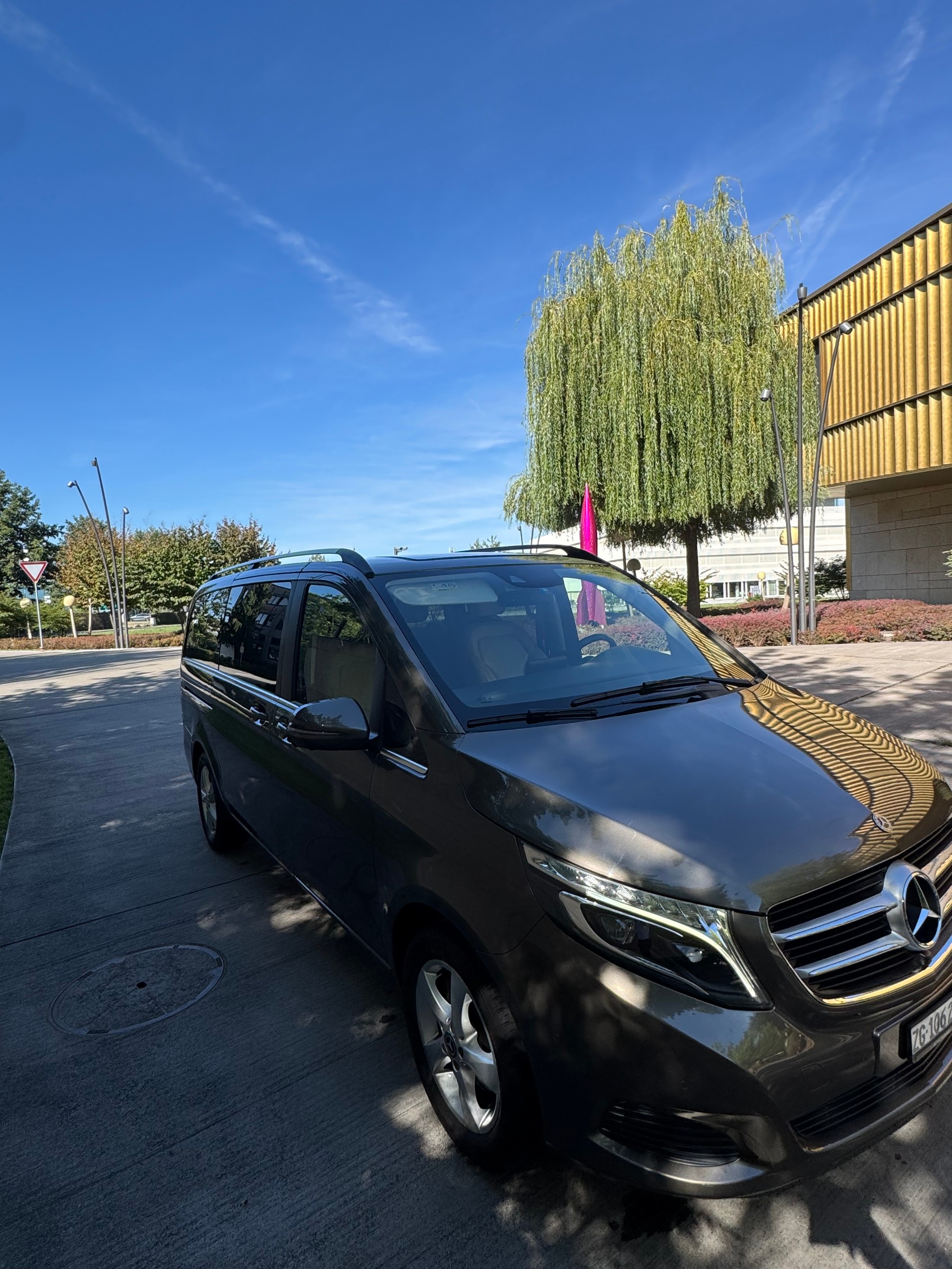 MERCEDES-BENZ V 250 d BlueTec Sw. Ed.lang 4m-image-0