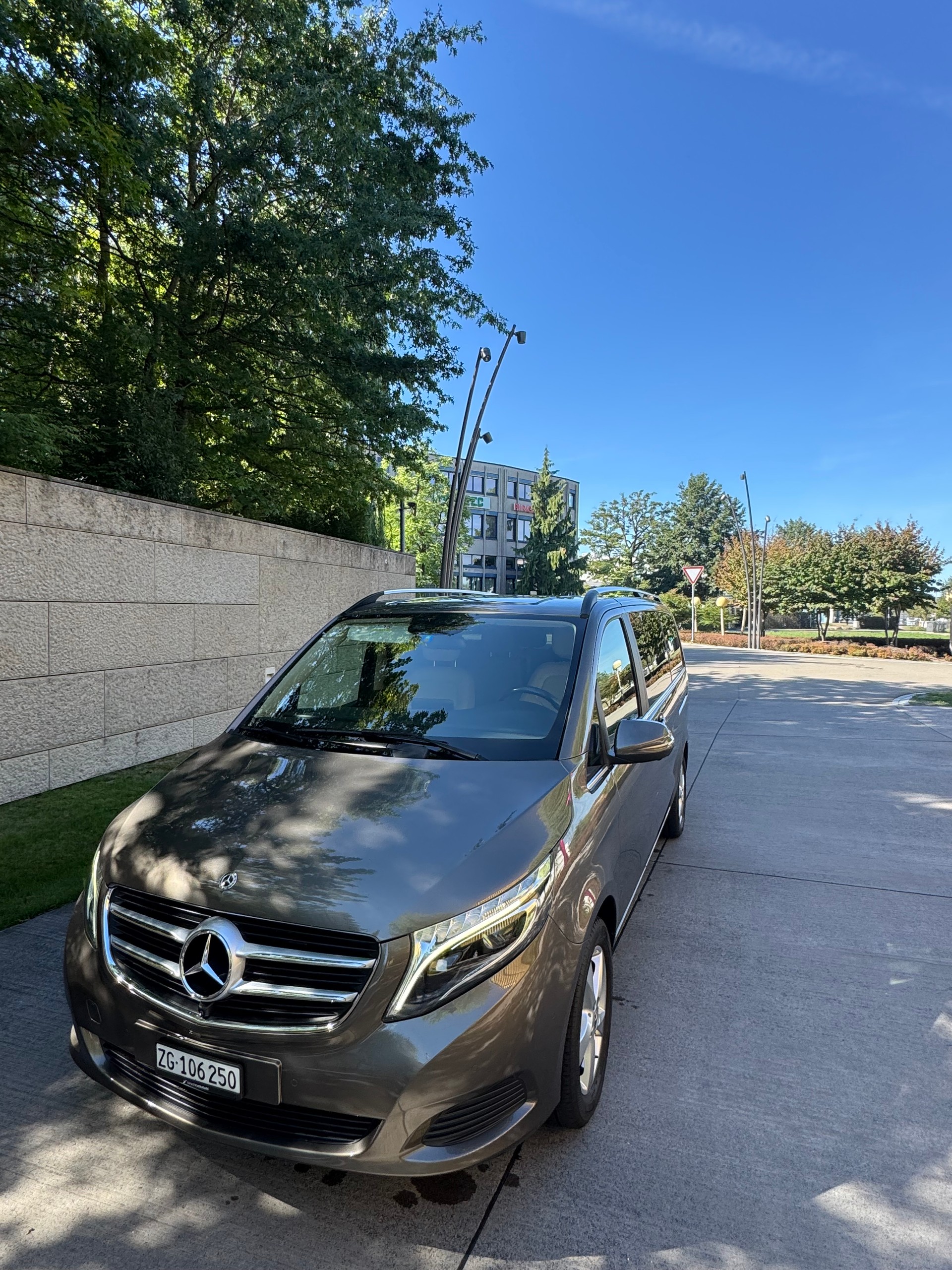MERCEDES-BENZ V 250 d BlueTec Sw. Ed.lang 4m-image-1