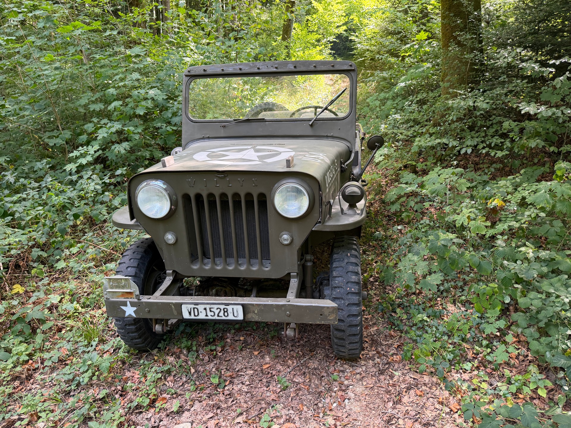 WILLYS Jeep CJ3-image-4