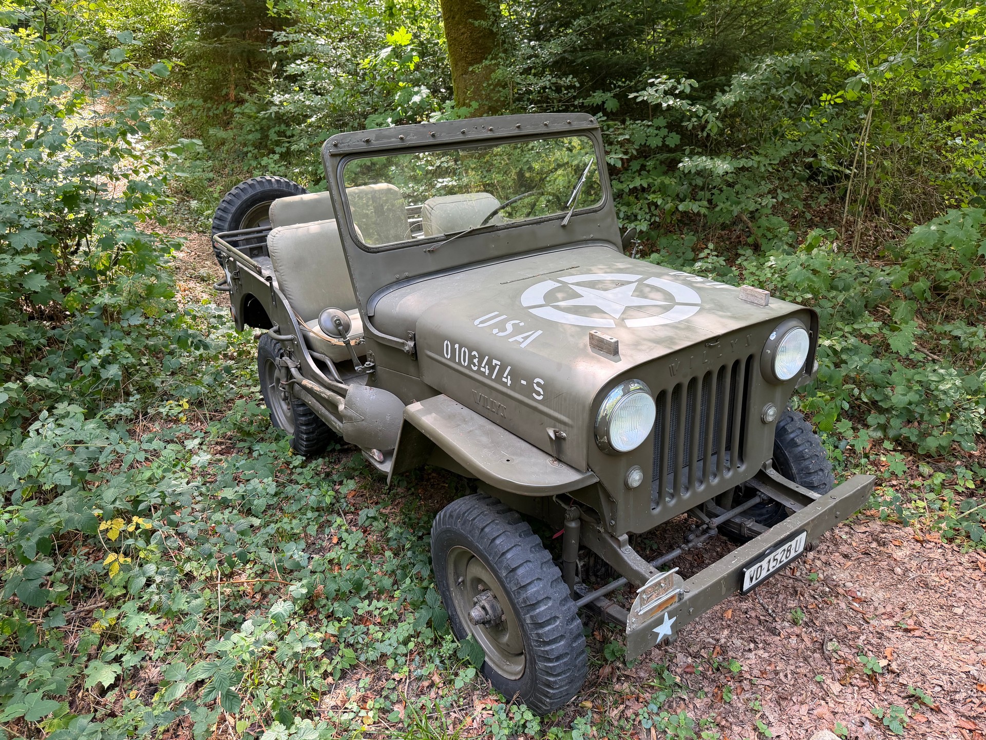 WILLYS Jeep CJ3-image-5