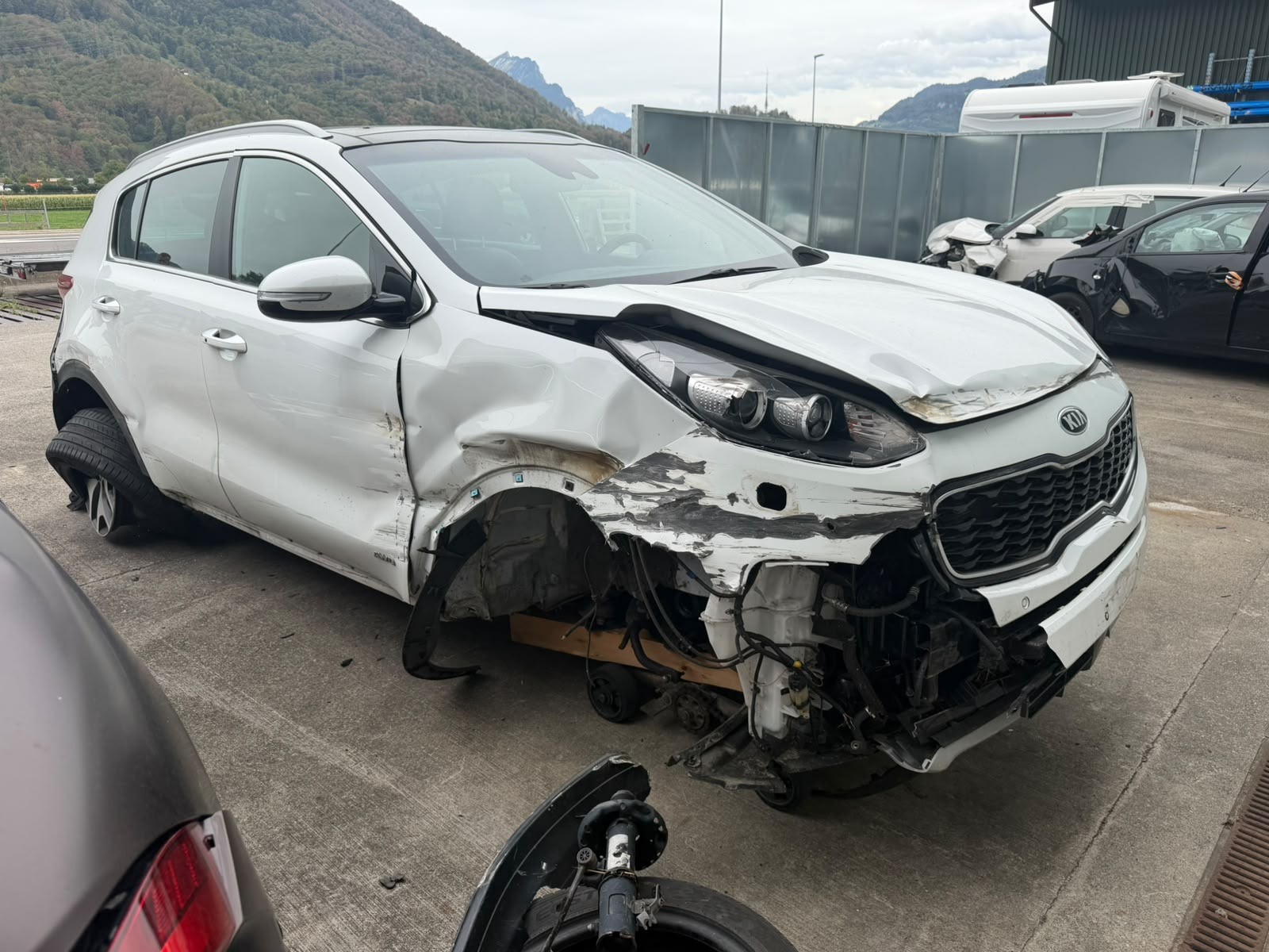 KIA Sportage 1.6 4WD Automat-image-1