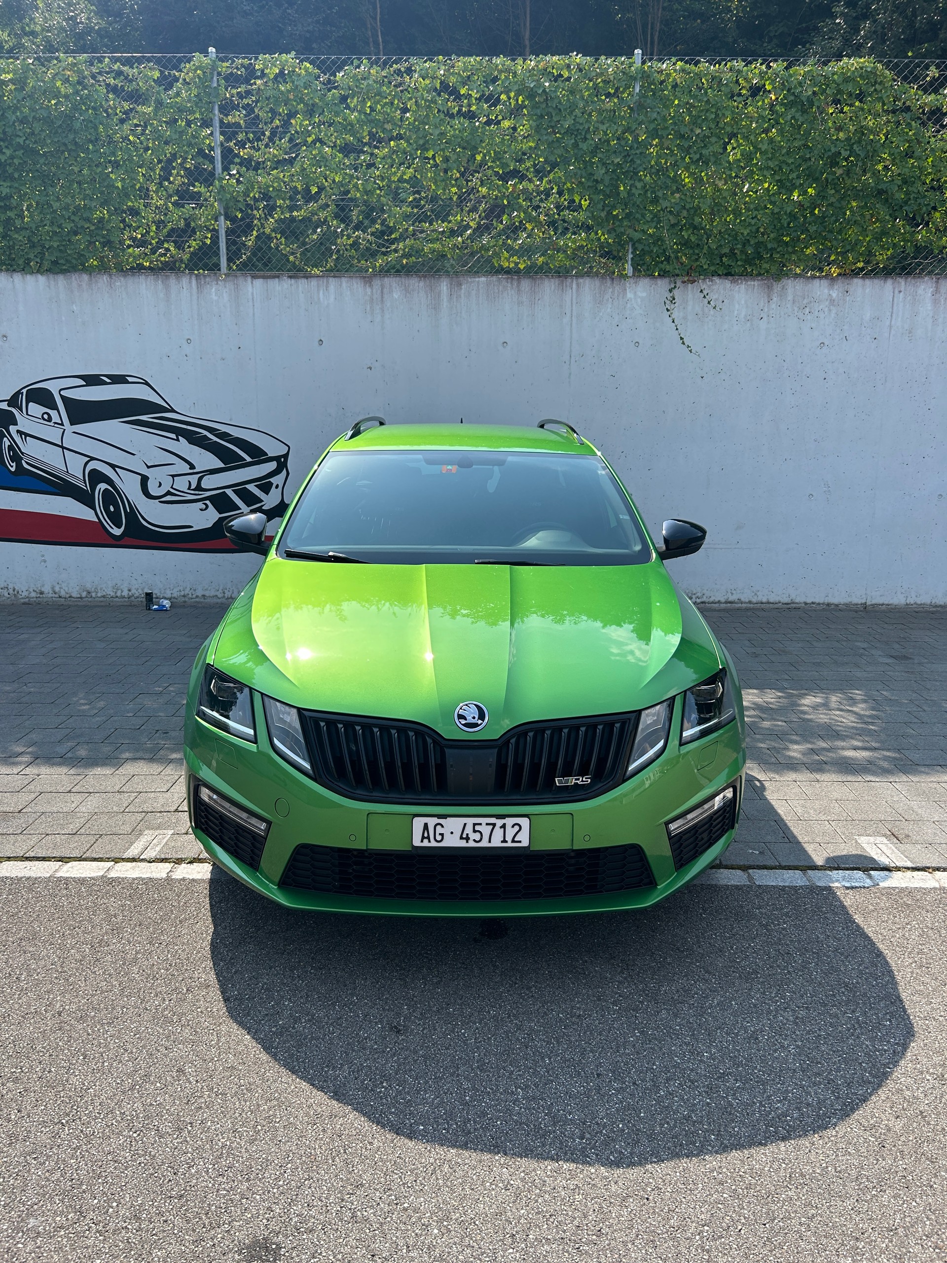 SKODA 2.0 TSI RS-image-1