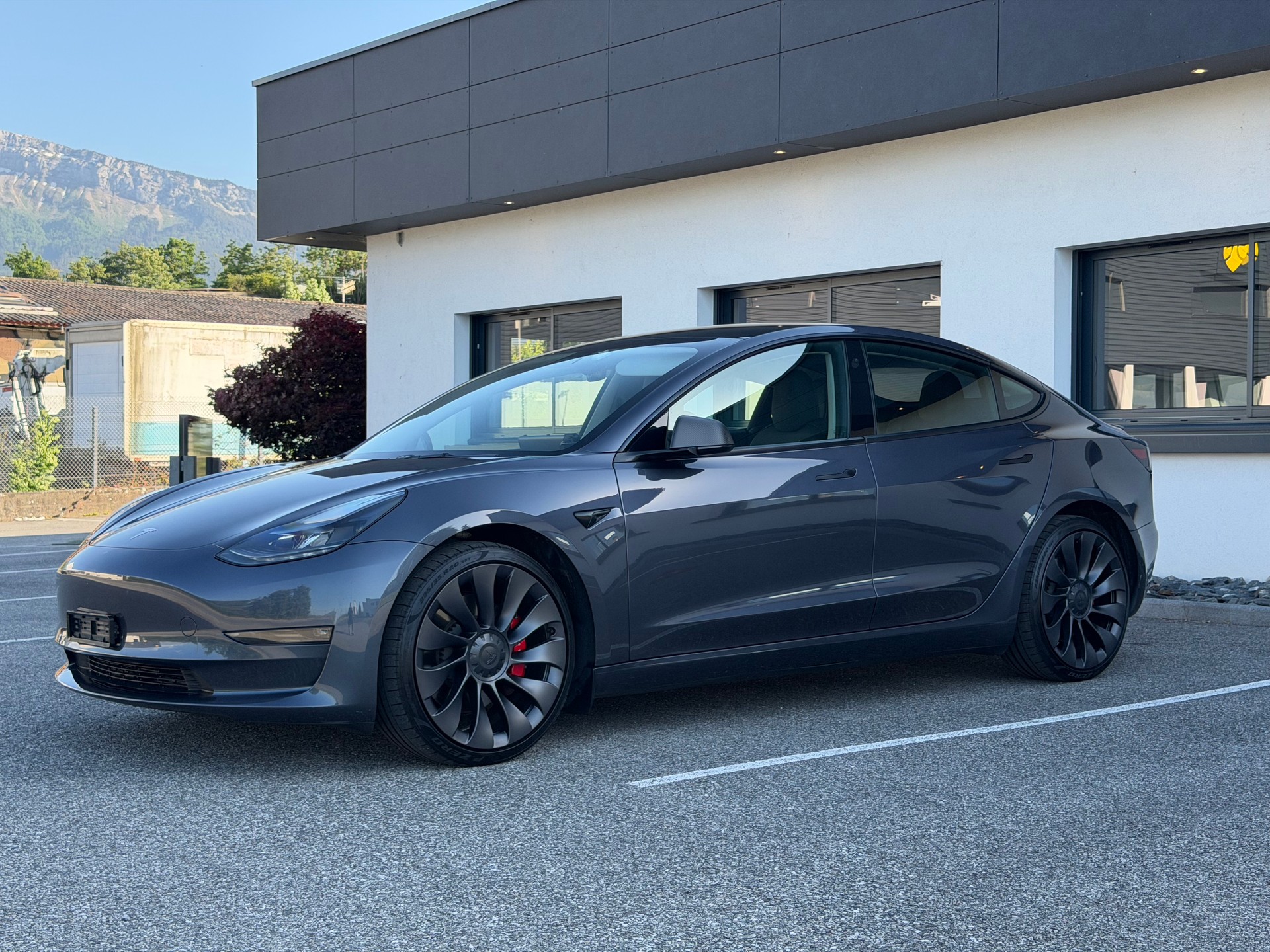 TESLA Performance Dual motor-image-0