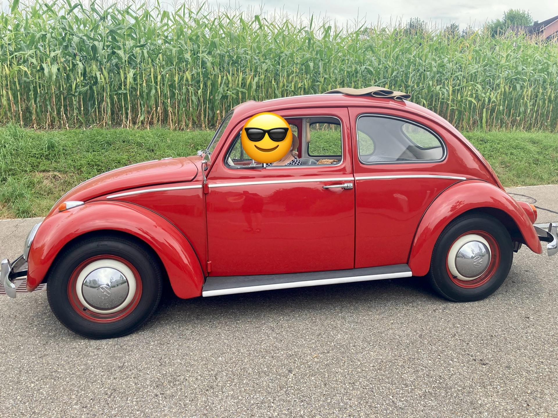 VW Käfer-image-1