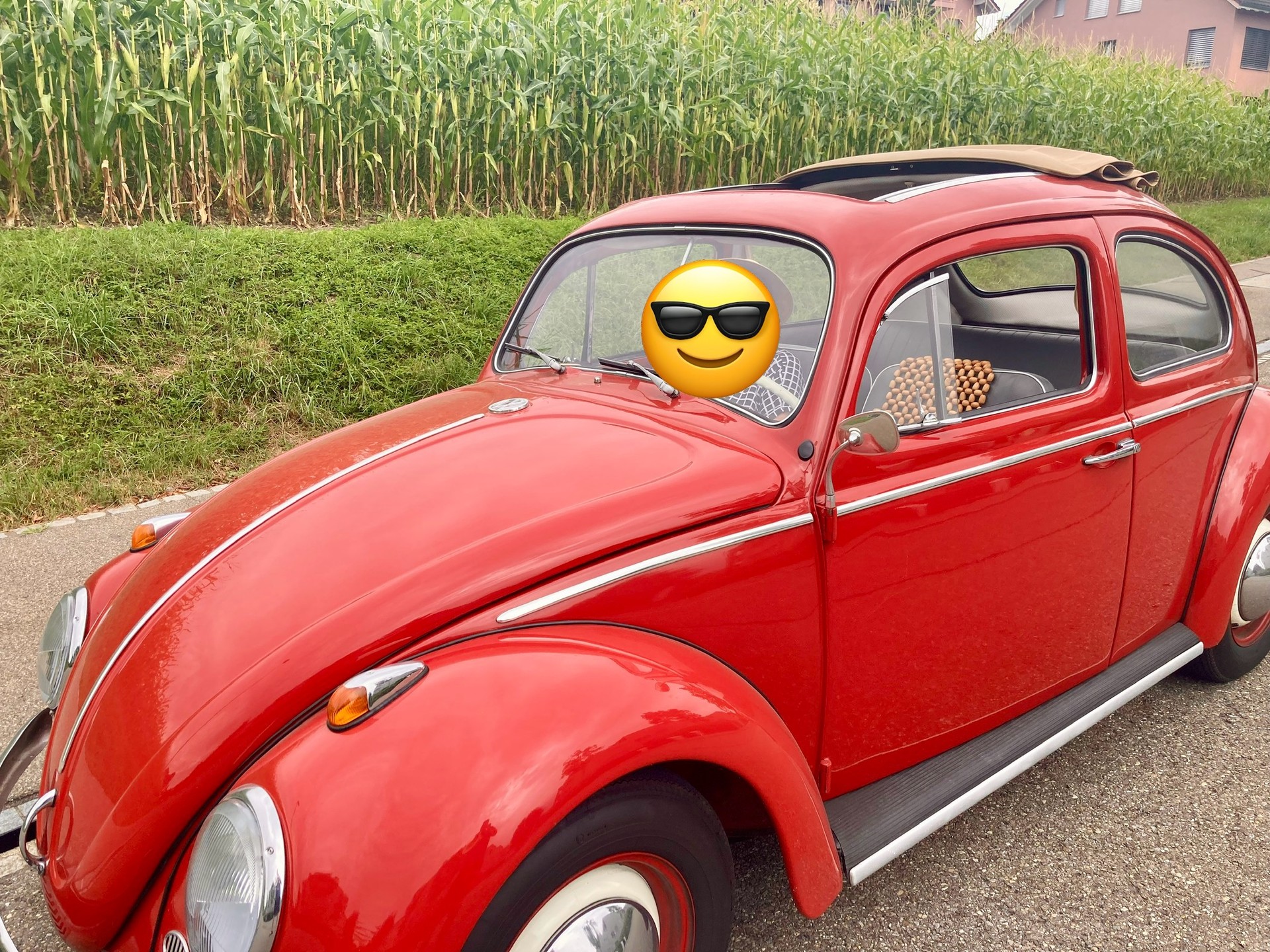 VW Käfer-image-0