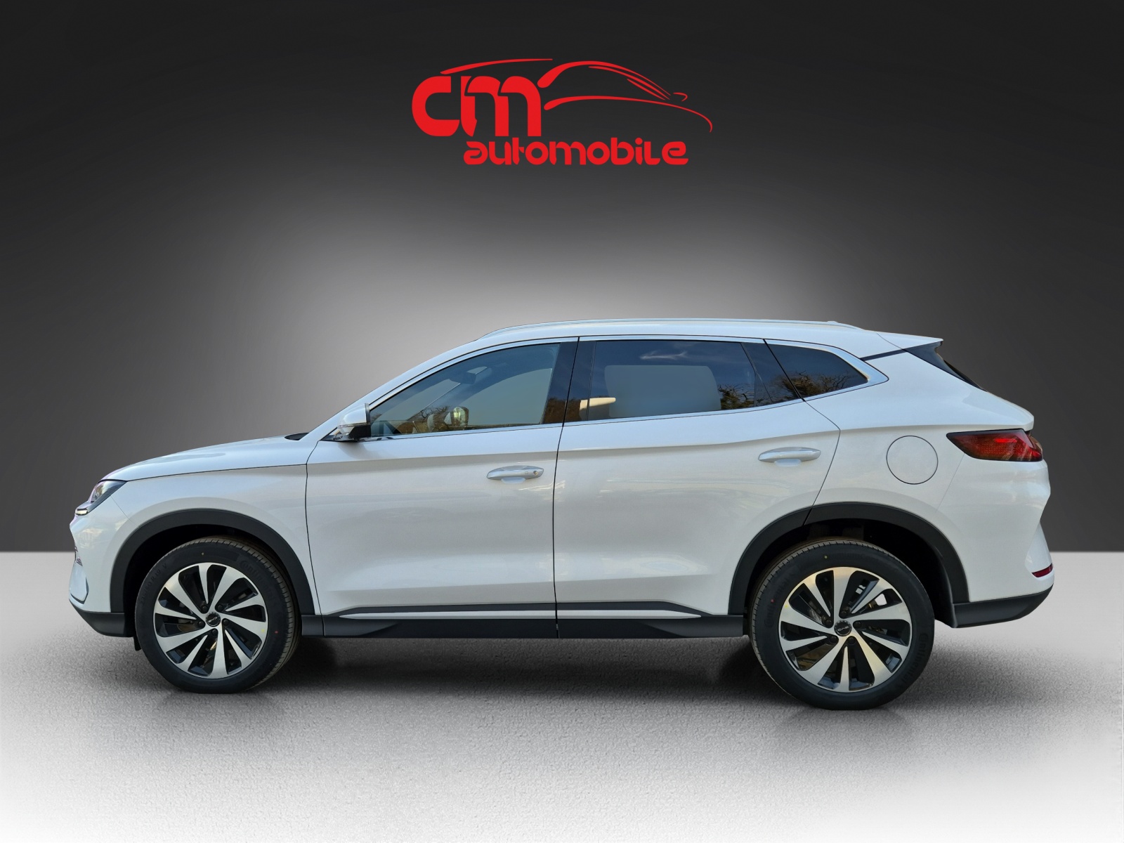 BYD Seal U DM-i Comfort-image-1