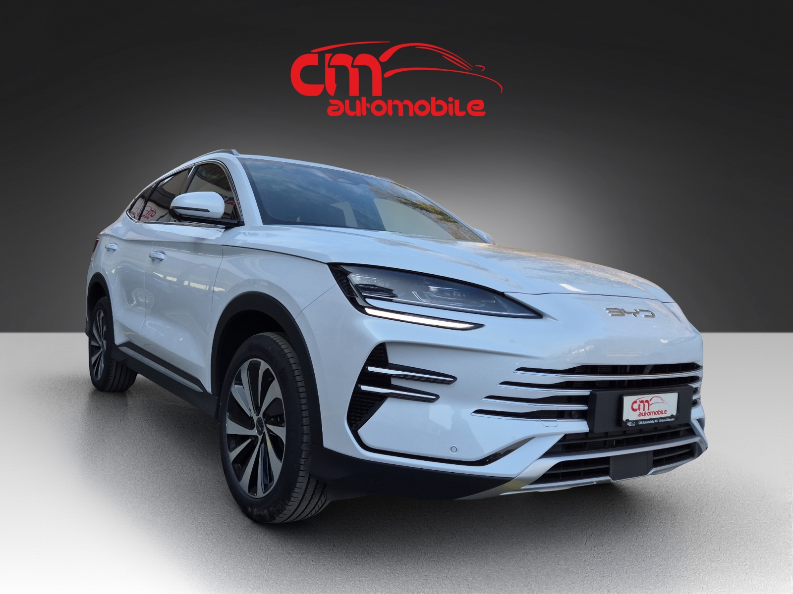 BYD Seal U DM-i Comfort-image-9