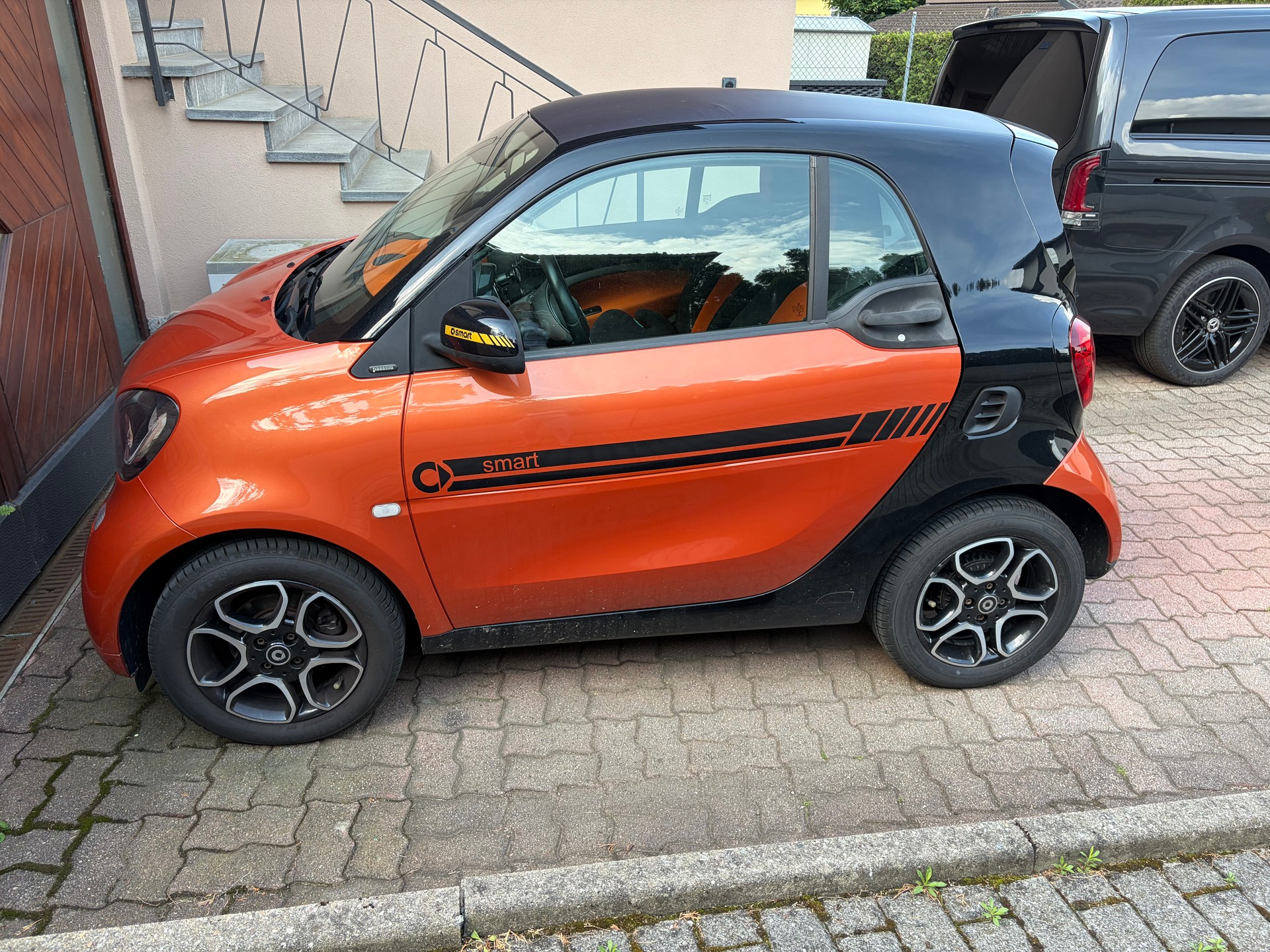 SMART 1.0 71 Passion-image-0