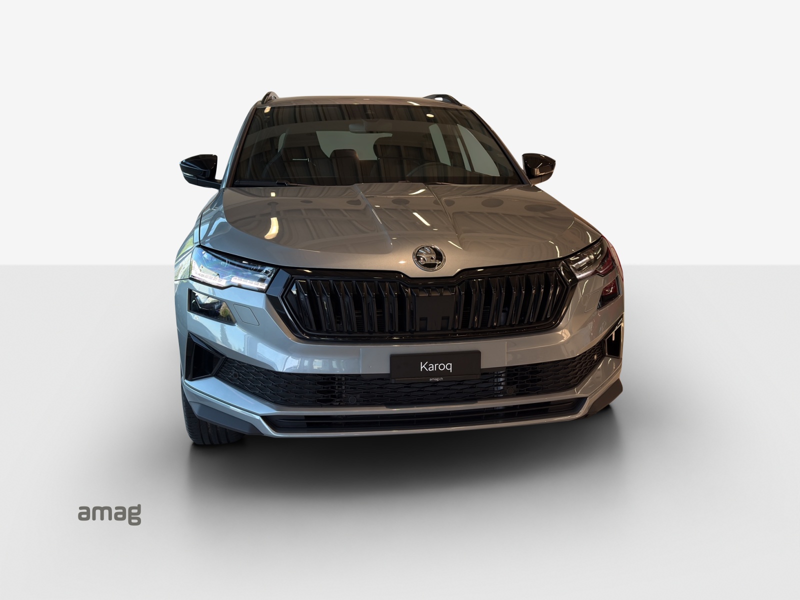 SKODA Karoq 2.0 TSI Dynamic Limited Edition 4x4 DSG-image-5