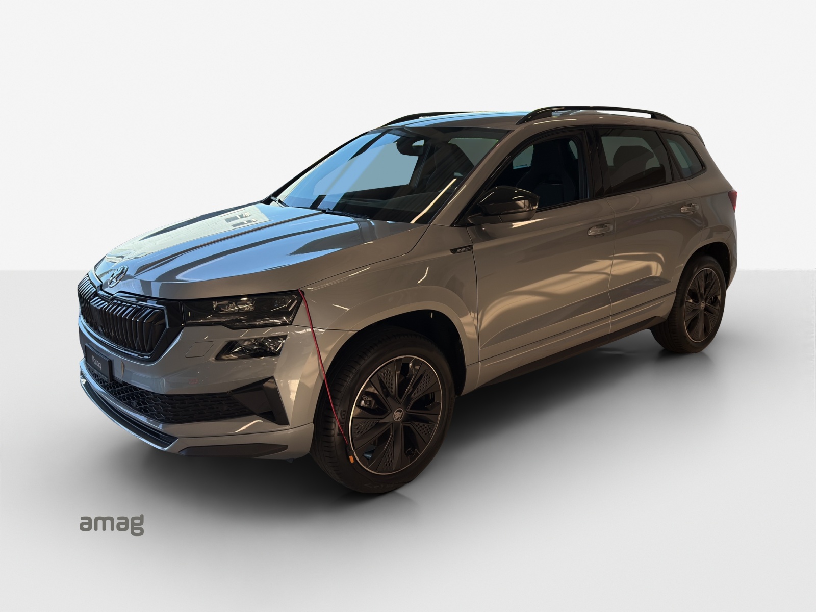 SKODA Karoq 2.0 TSI Dynamic Limited Edition 4x4 DSG-image-0