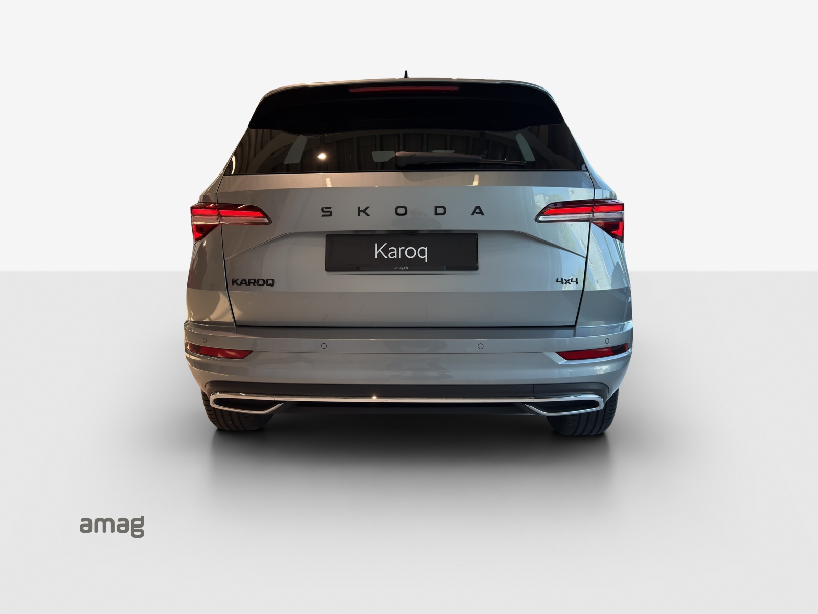 SKODA Karoq 2.0 TSI Dynamic Limited Edition 4x4 DSG-showroom-element-3