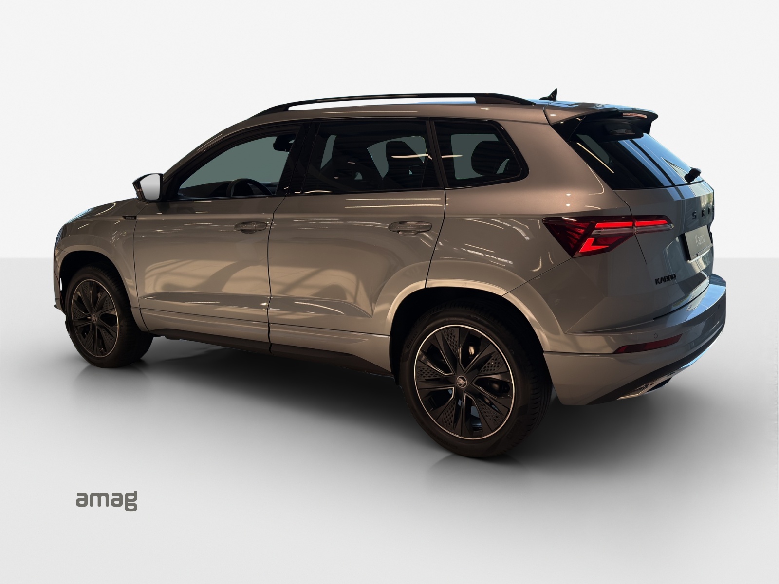 SKODA Karoq 2.0 TSI Dynamic Limited Edition 4x4 DSG-image-2
