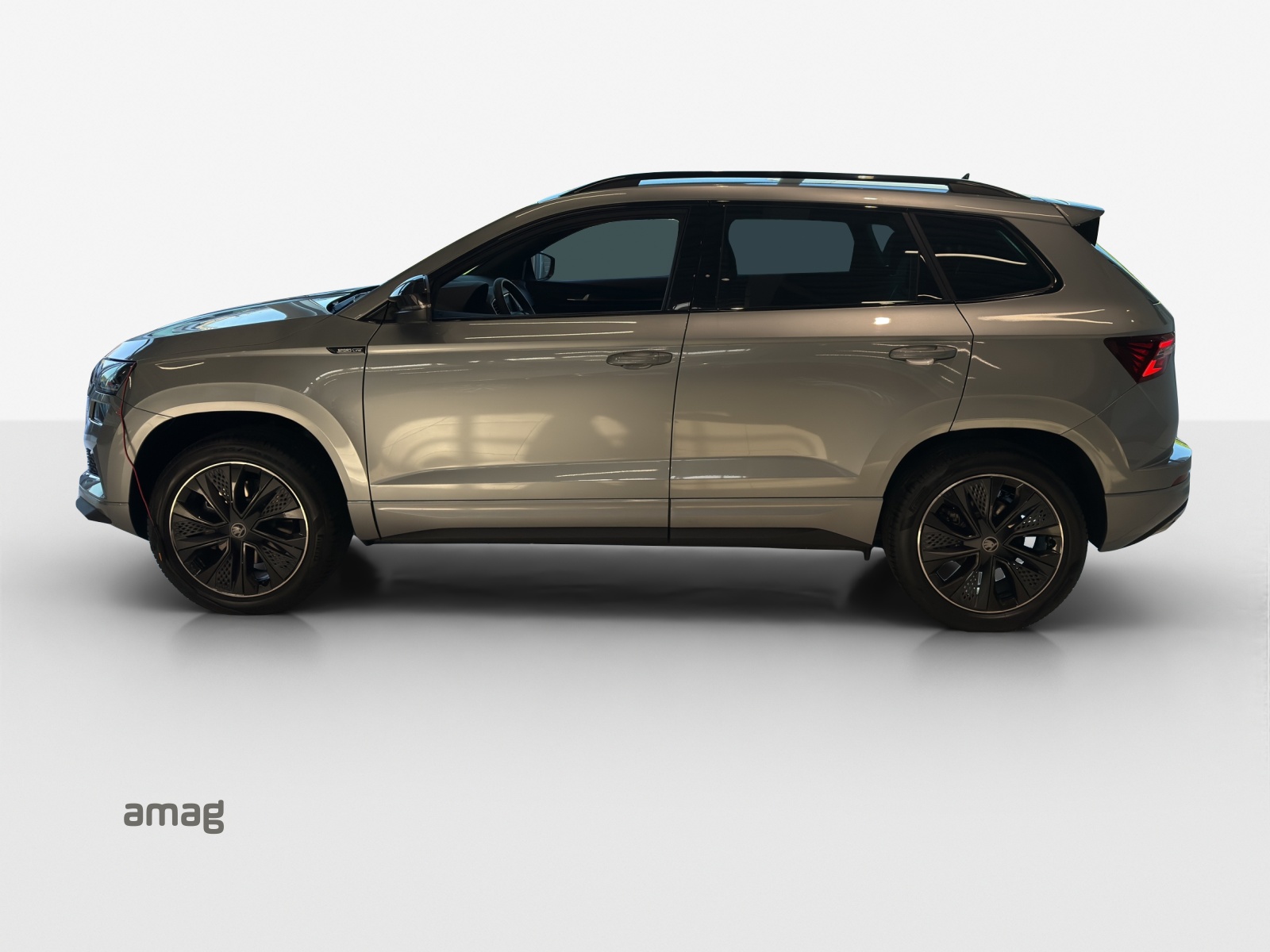 SKODA Karoq 2.0 TSI Dynamic Limited Edition 4x4 DSG-showroom-element-1
