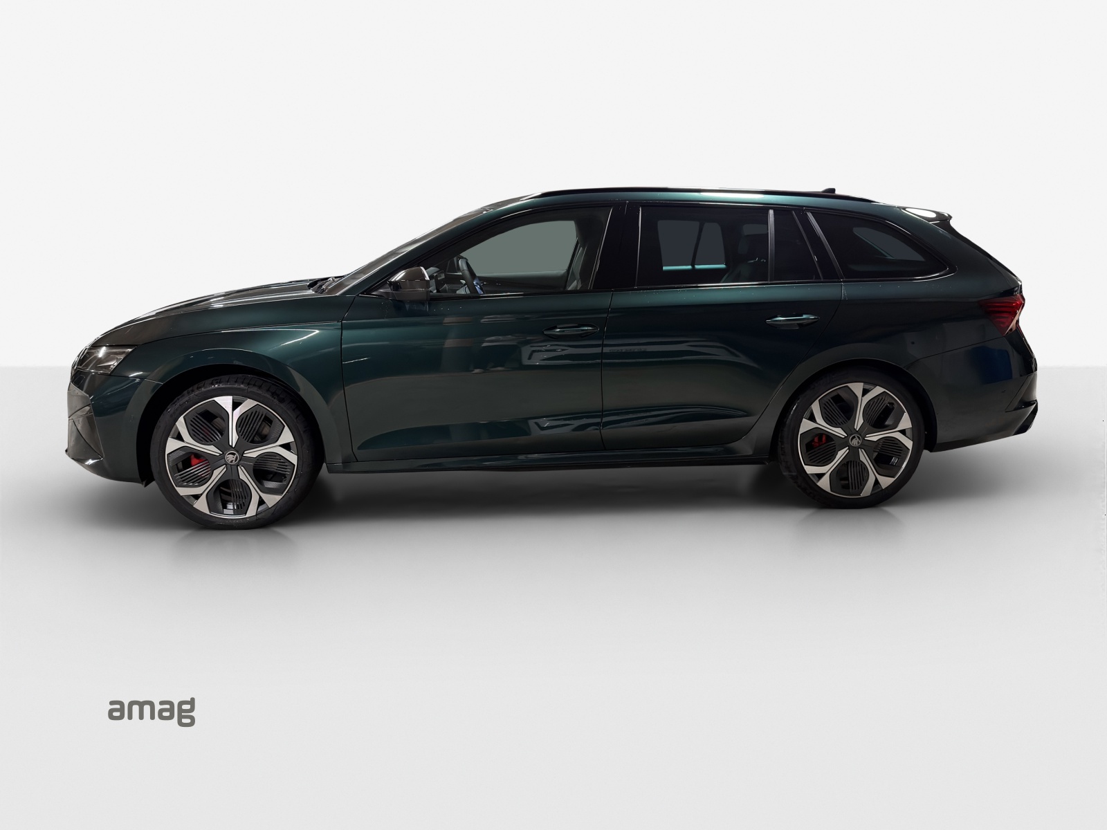 SKODA Octavia Combi 2.0 TSI DSG RS 30 Years Edition-image-1