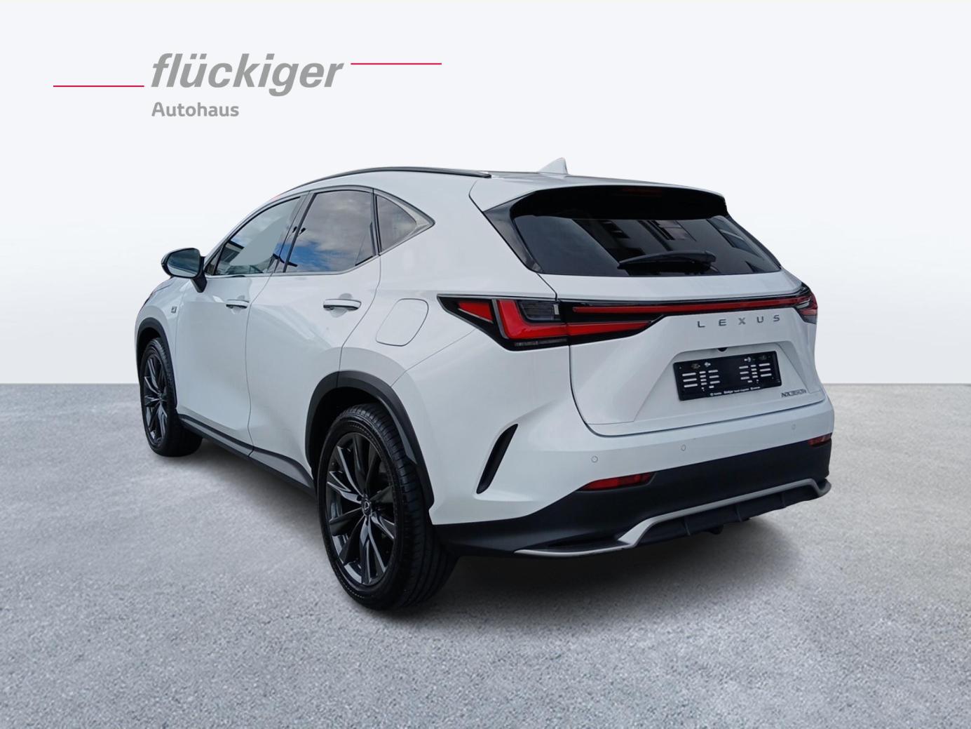 LEXUS NX 350h F-Sport-showroom-element-2