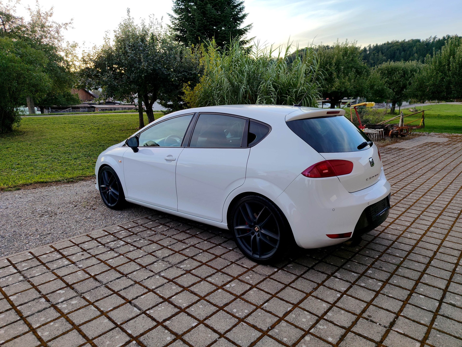 SEAT 2.0 TSI Cupra R-image-4