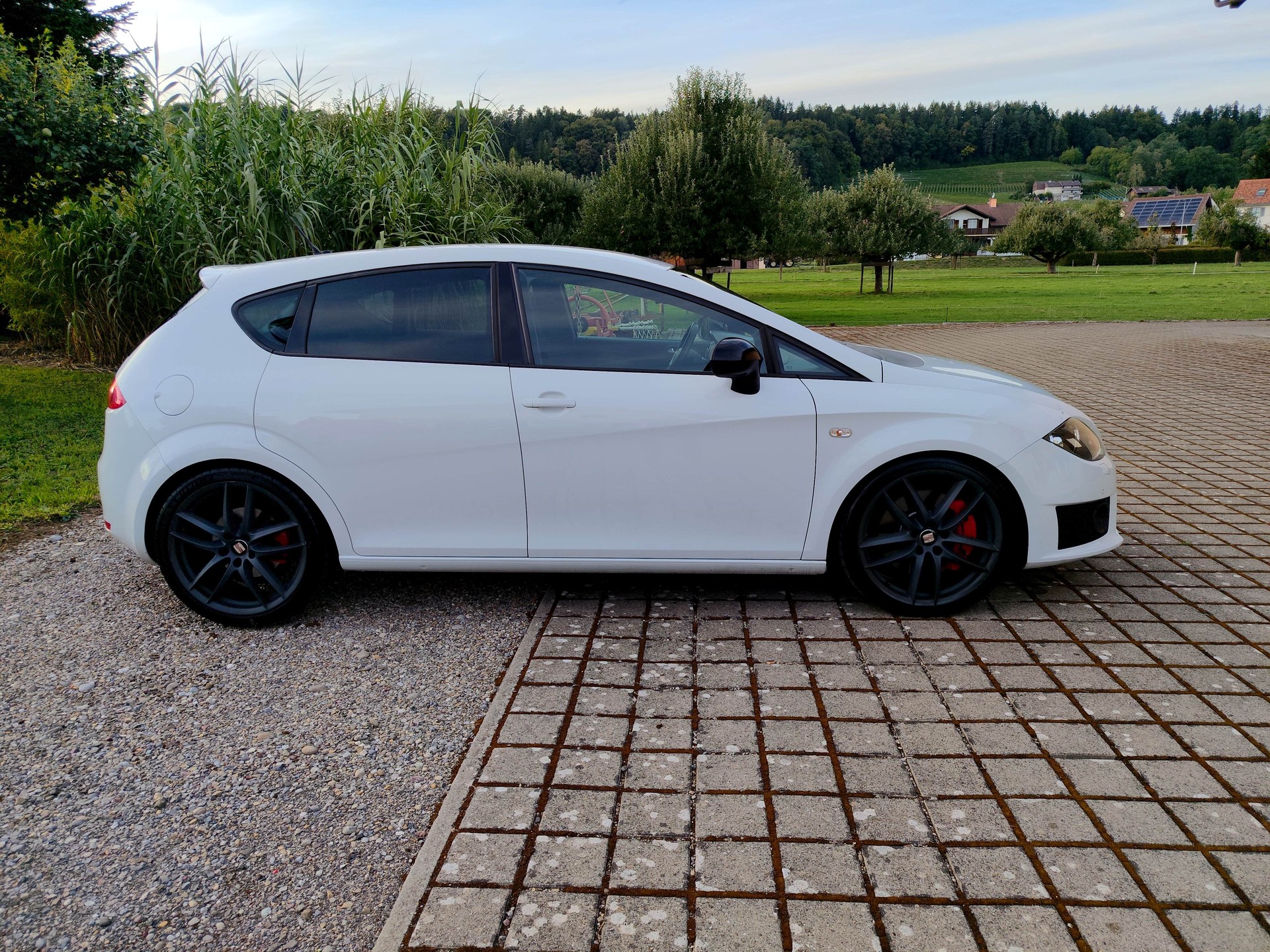 SEAT 2.0 TSI Cupra R-image-3