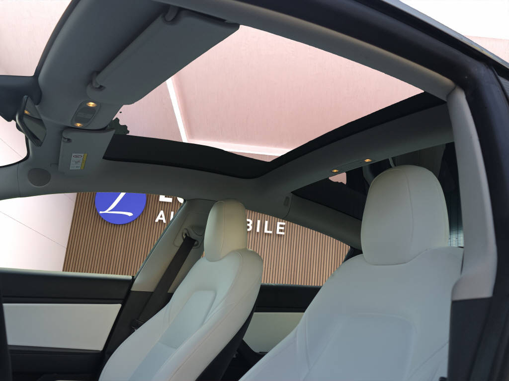 TESLA Model 3 Standart Range Plus-image-12