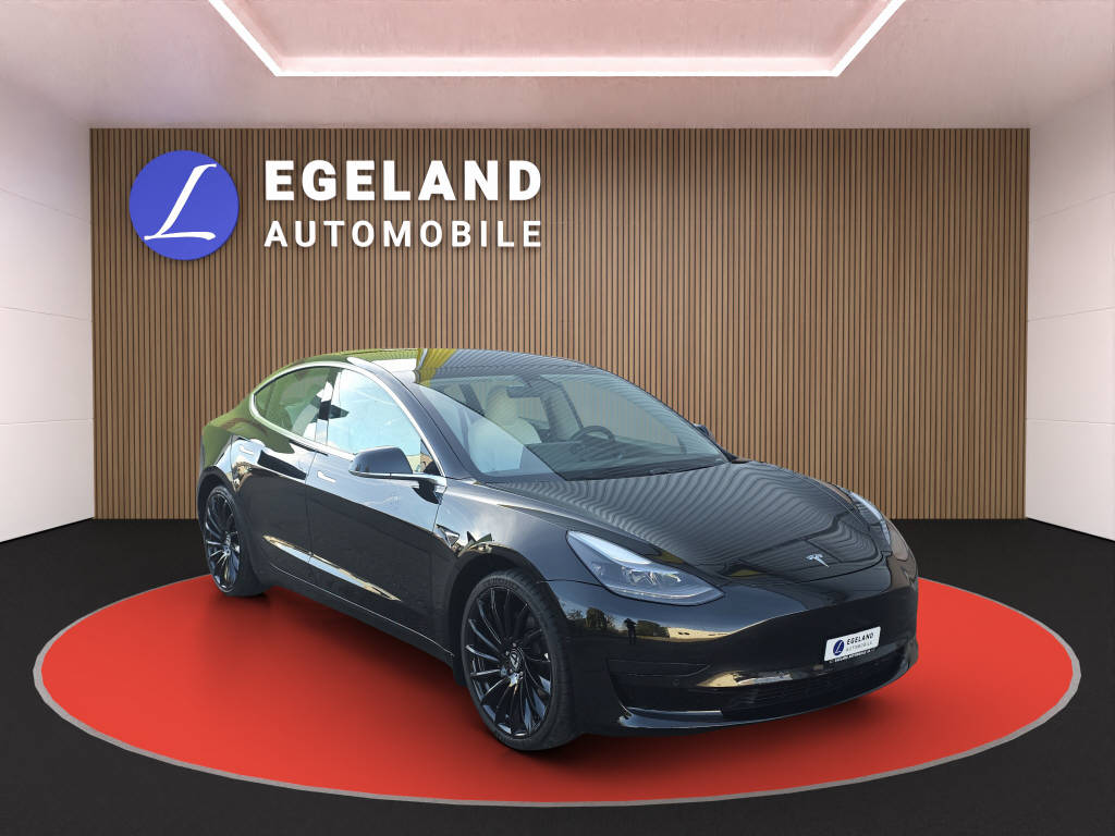 TESLA Model 3 Standart Range Plus-image-1