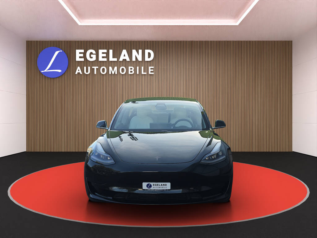 TESLA Model 3 Standart Range Plus-image-2