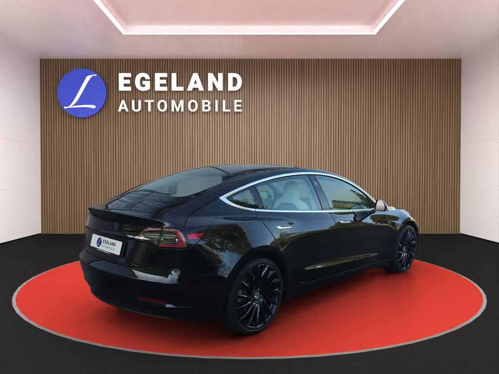 TESLA Model 3 Standart Range Plus-image-3
