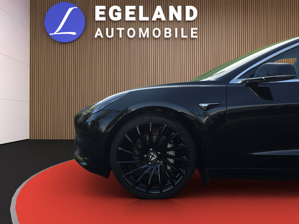 TESLA Model 3 Standart Range Plus-image-9