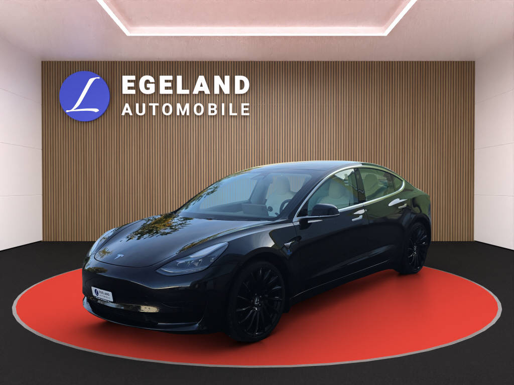 TESLA Model 3 Standart Range Plus-image-0