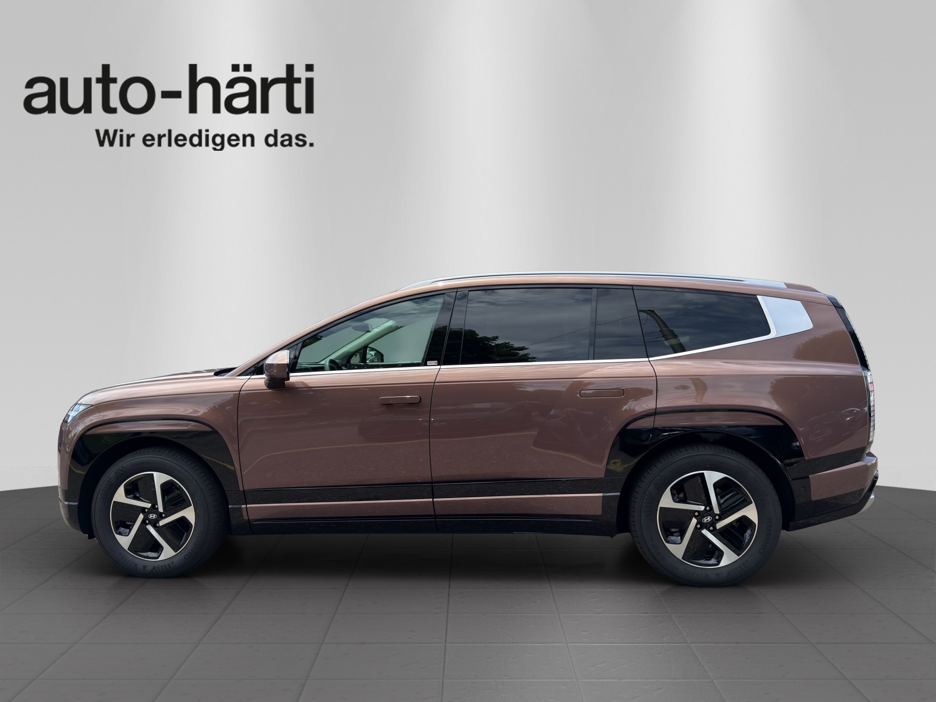 HYUNDAI Ioniq 9 110kWh Vertex 4WD-showroom-element-1