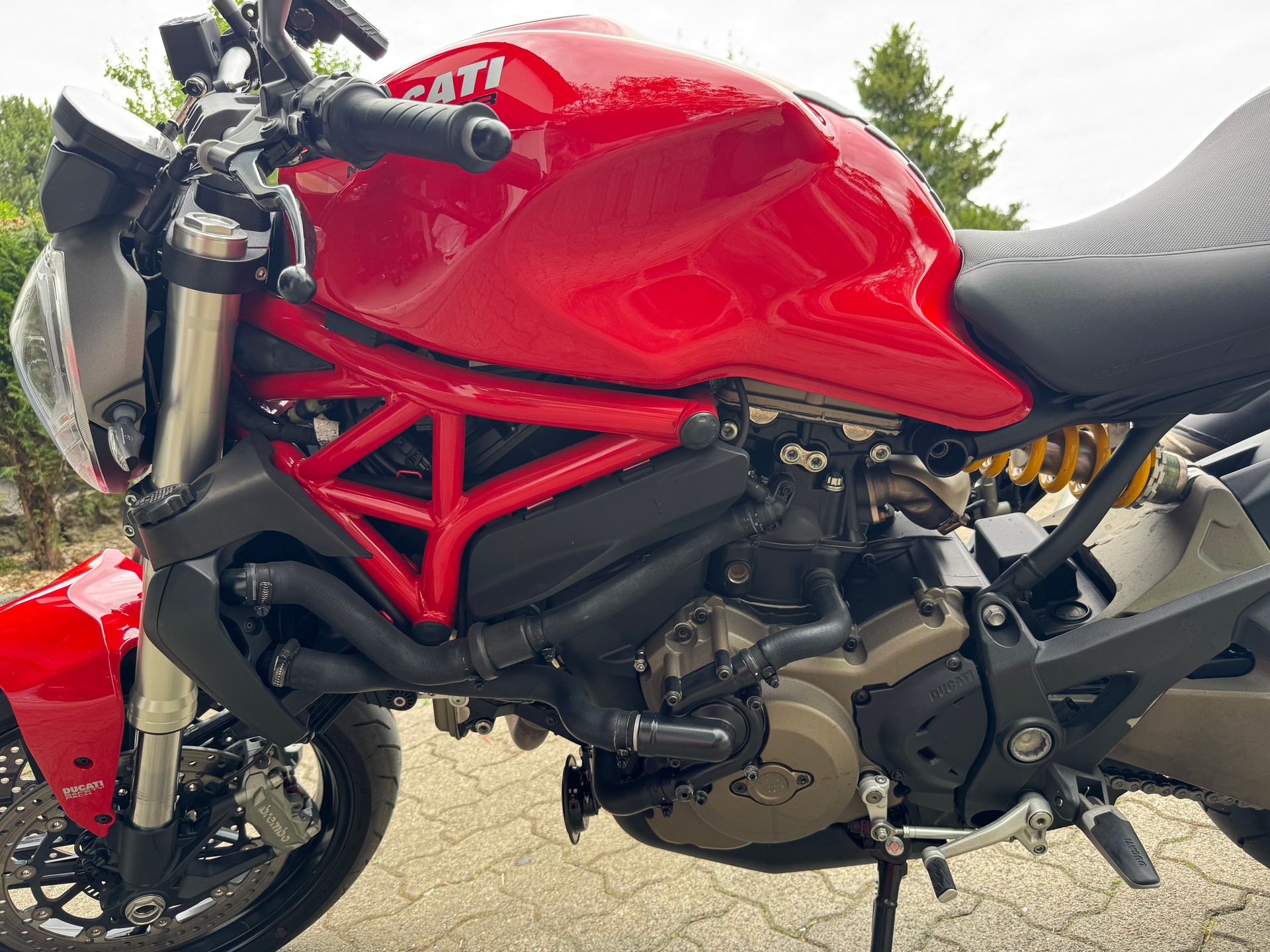 DUCATI MONSTER 821-image-4
