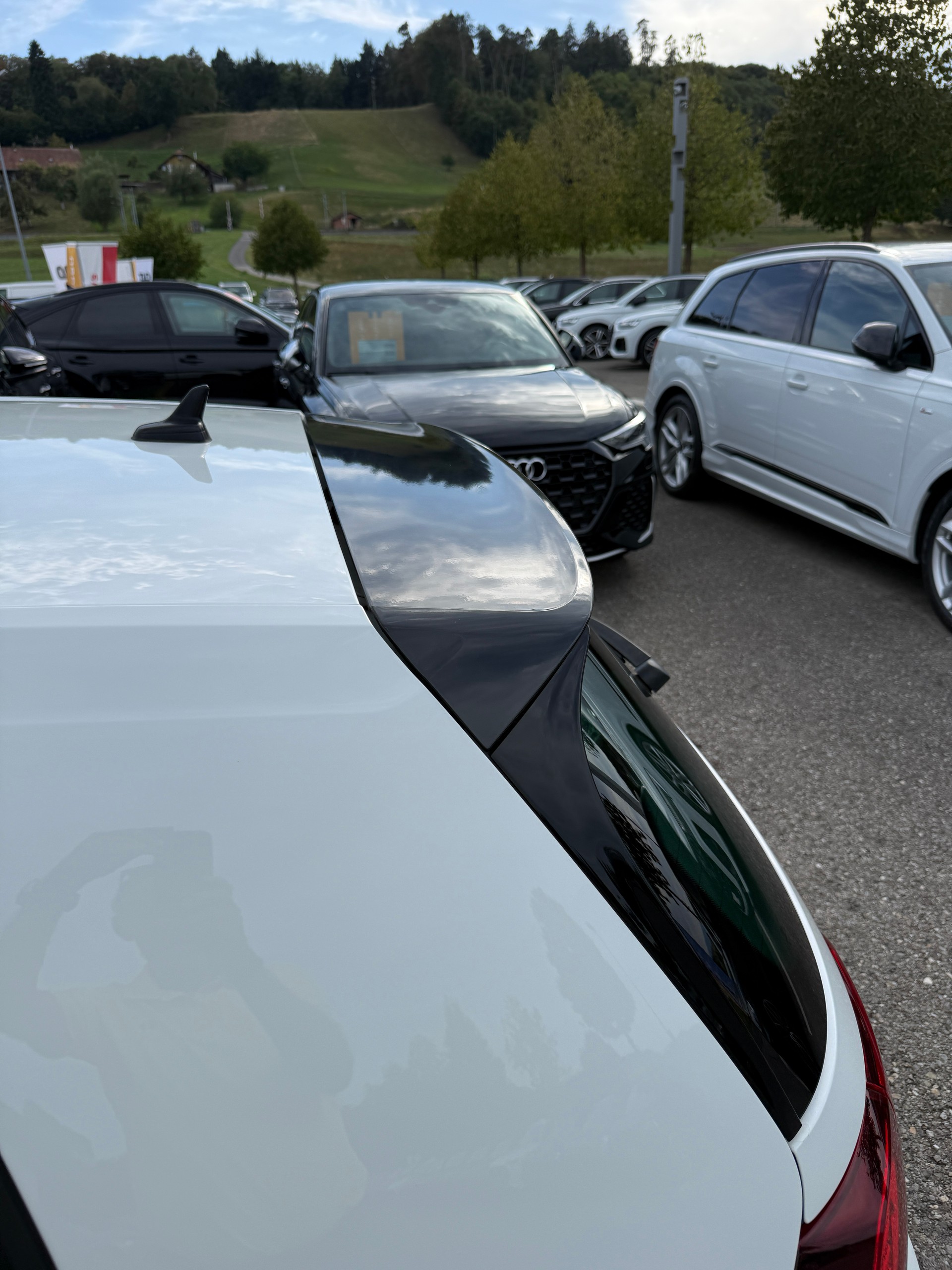 VW 2.0 TSI GTI Performance Limited Edition Nr. 71 AMAG Schweiz-image-11