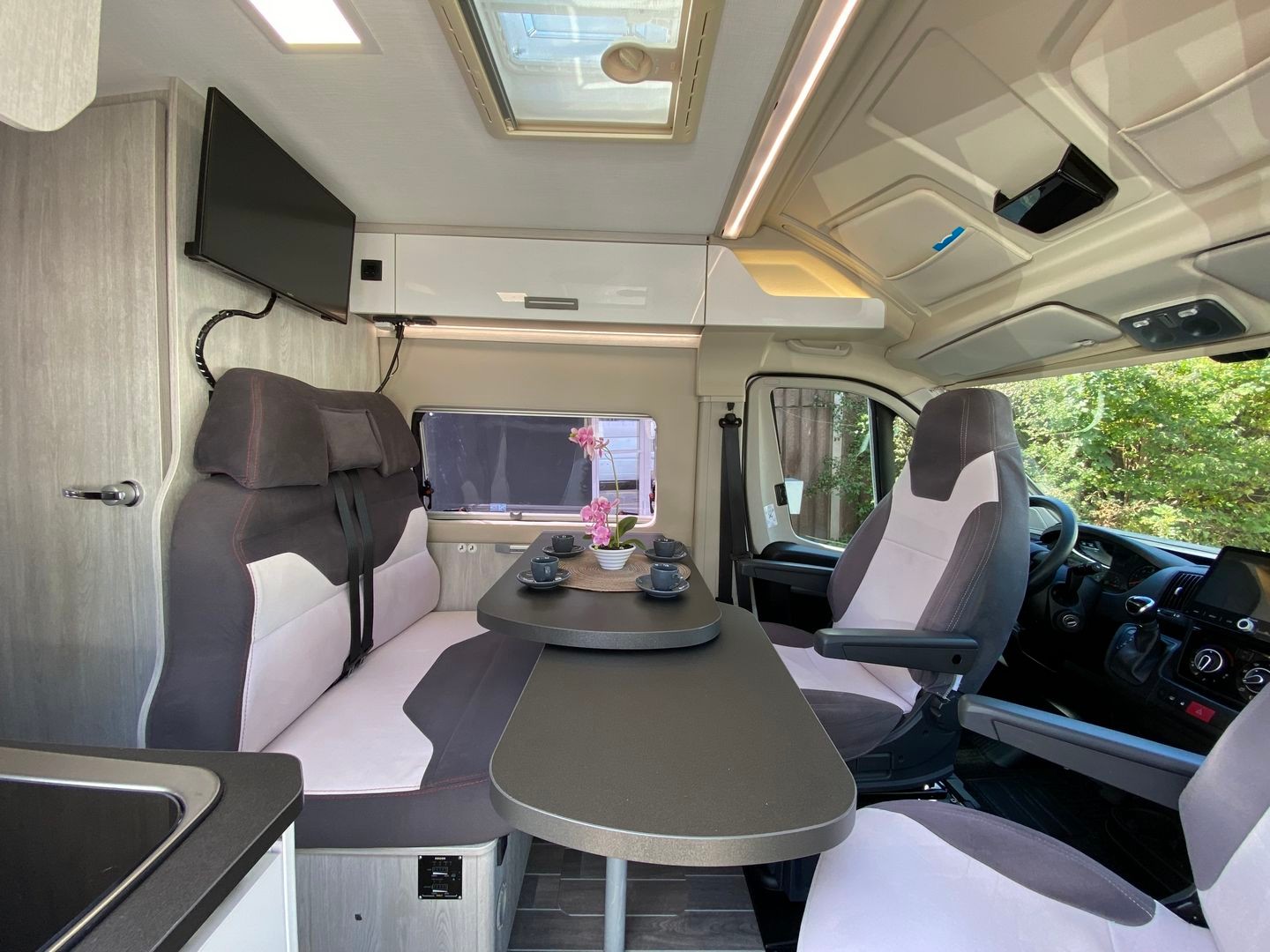 ROLLER TEAM Livingstone DUO Sport, Fiat Ducato 2.3MJ 140PS Automat-image-5