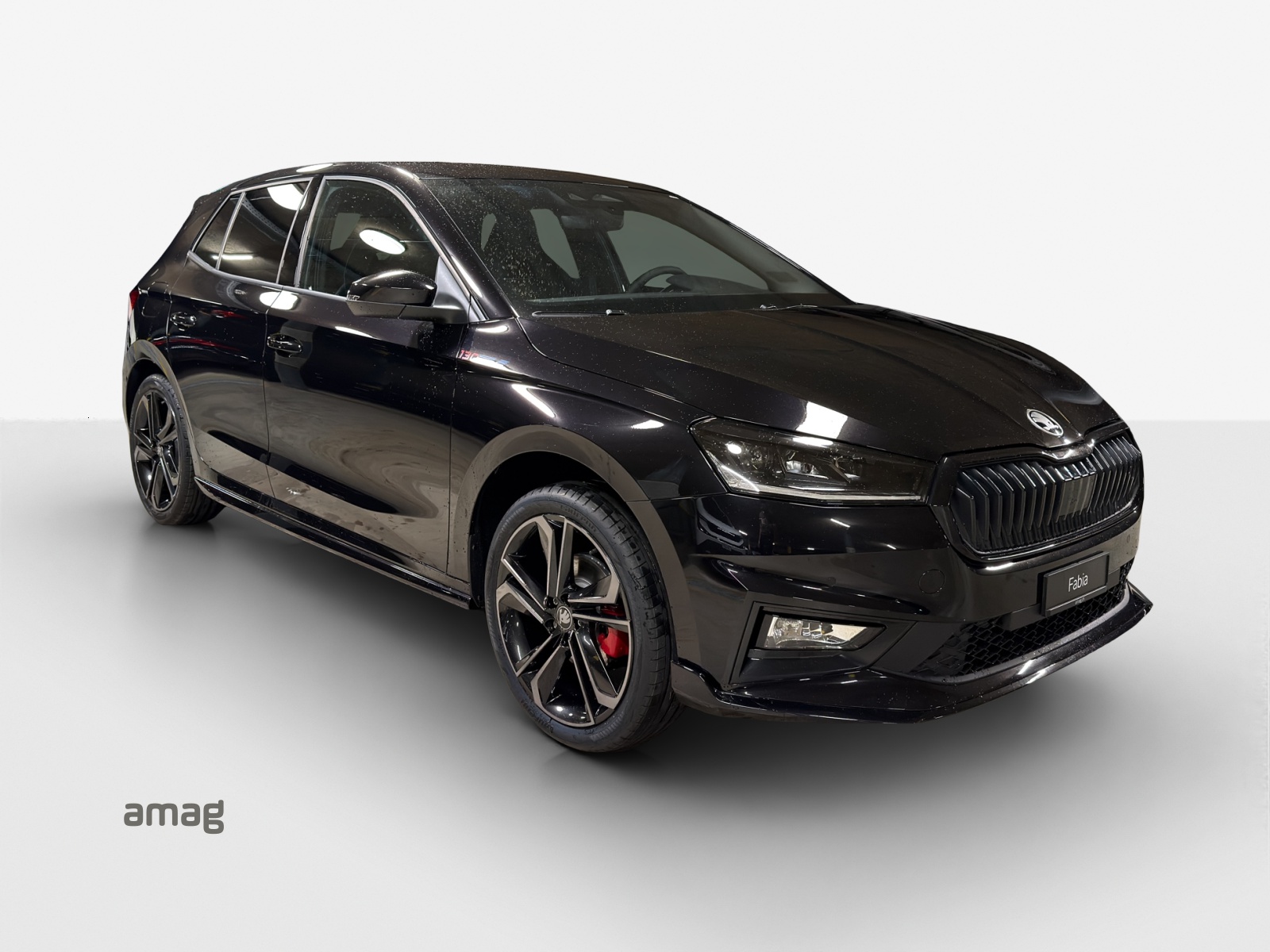 SKODA Fabia 1.5 TSI 130 DSG-image-5