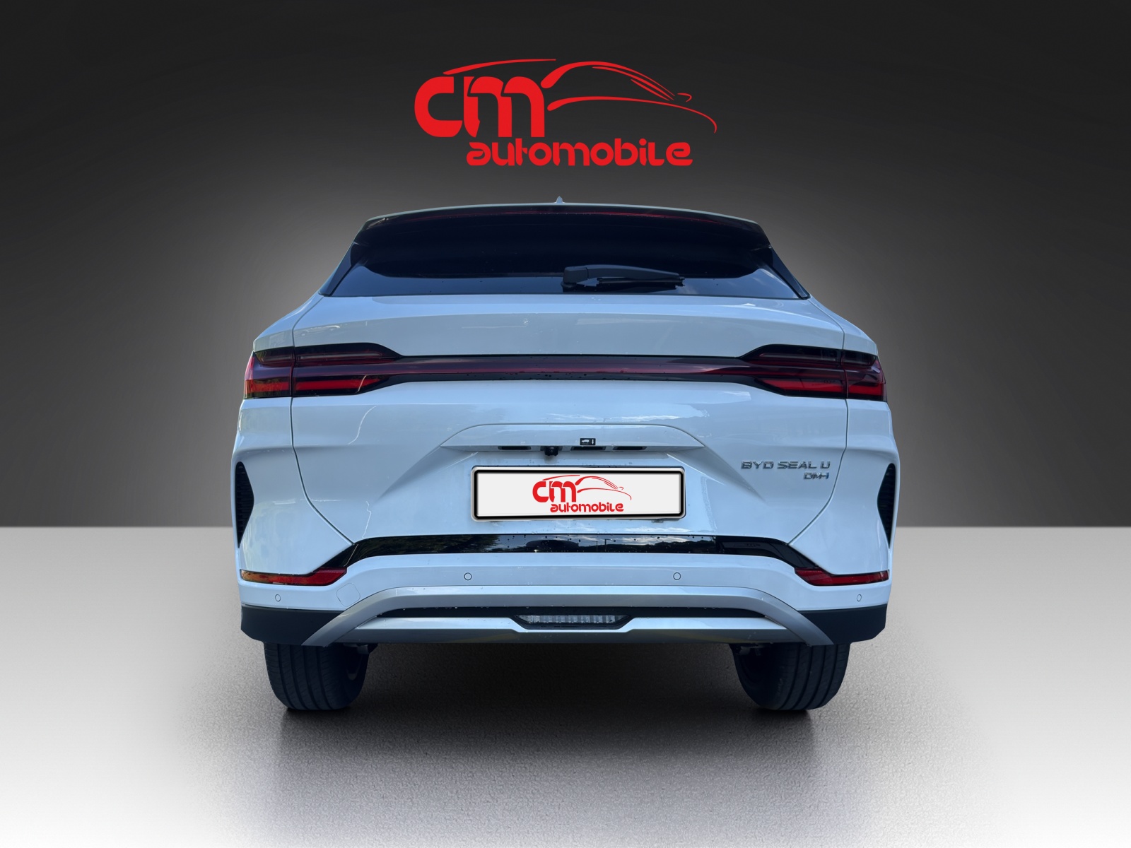 BYD Seal U DM-i Comfort-image-3