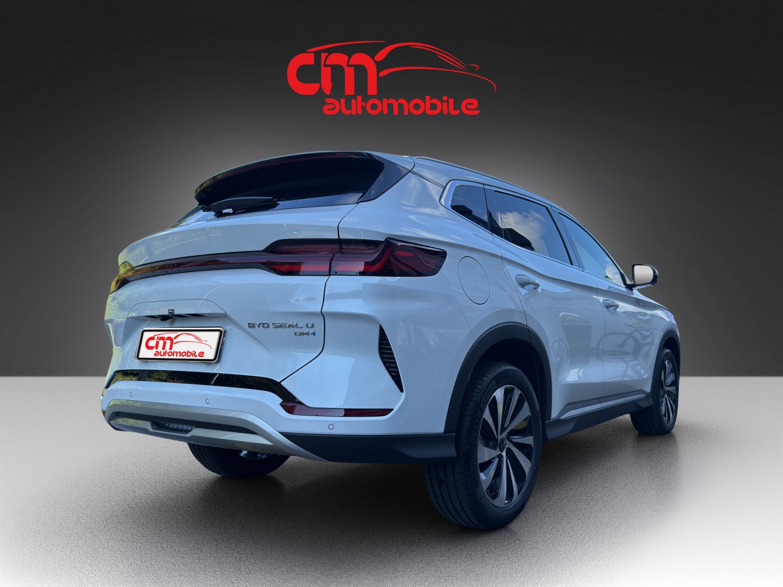 BYD Seal U DM-i Comfort-image-5